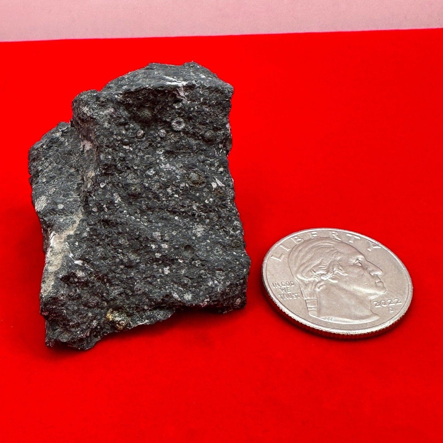 Allende Carbonaceous Chondrite, CV3, 48.38 grams, Authentic Meteorite, Allende, Authentic Meteorite, COA, Astronomy Gift, Space Gift