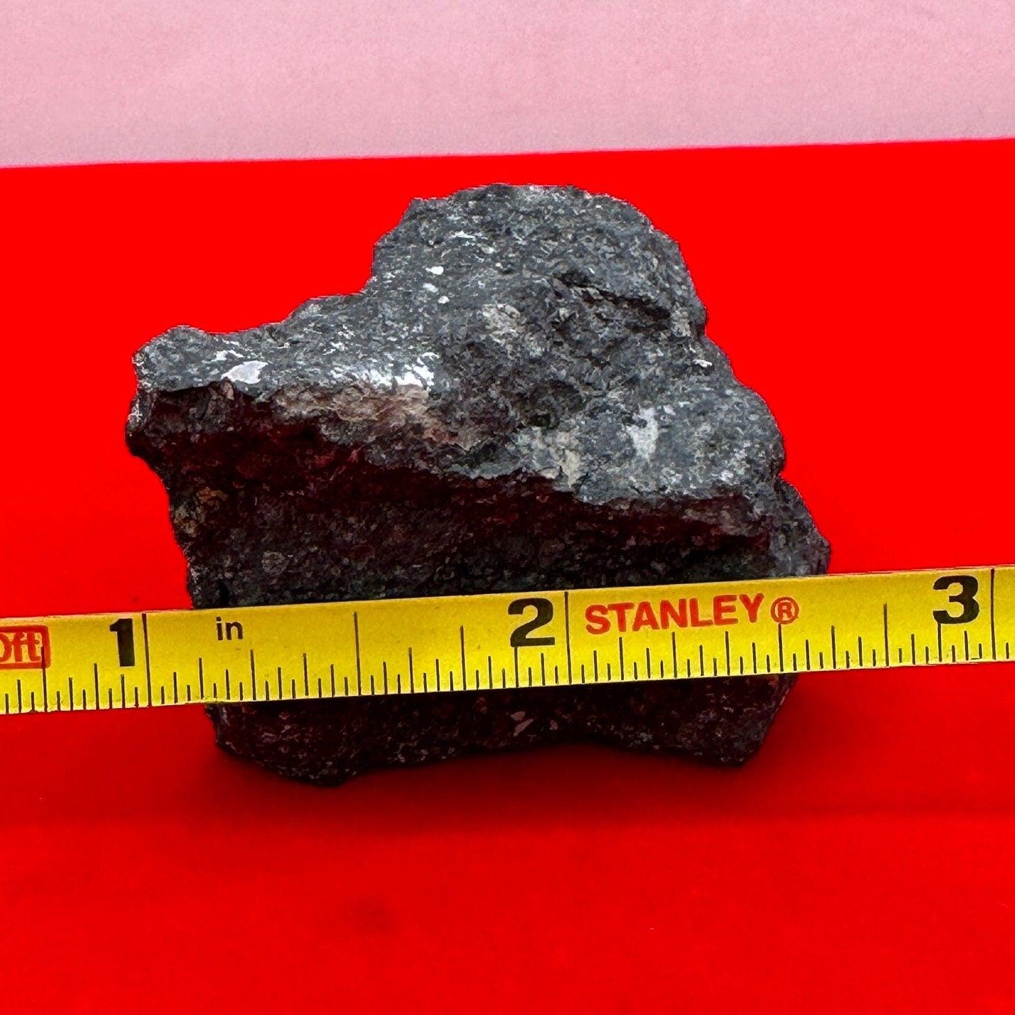 Allende Carbonaceous Chondrite, CV3, 48.38 grams, Authentic Meteorite, Allende, Authentic Meteorite, COA, Astronomy Gift, Space Gift