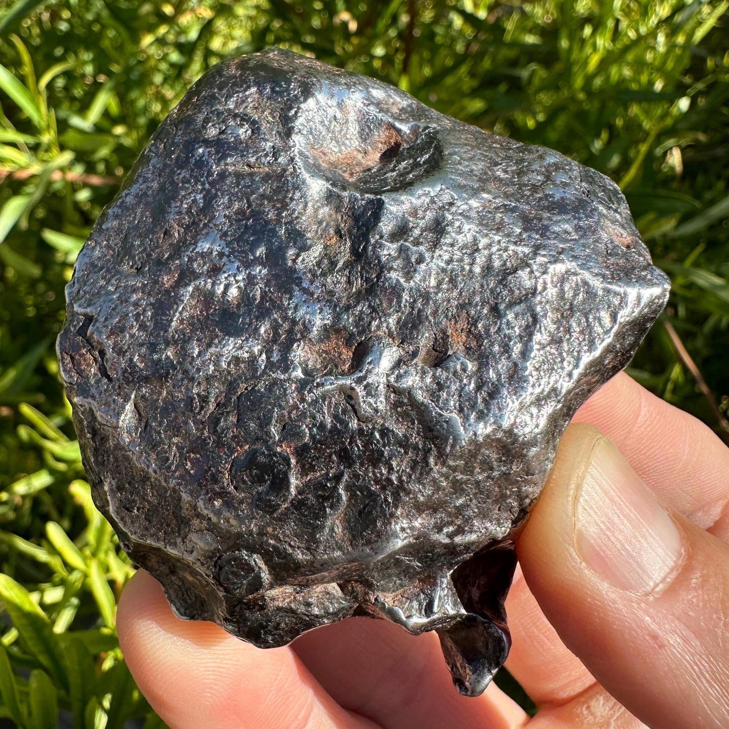 Canyon Diablo Meteorite Specimen, Arizona, 332.25 grams, Rare Meteorite, Iron Meteorite, Astronomy Gift, Space Gift, With COA, Meteorite