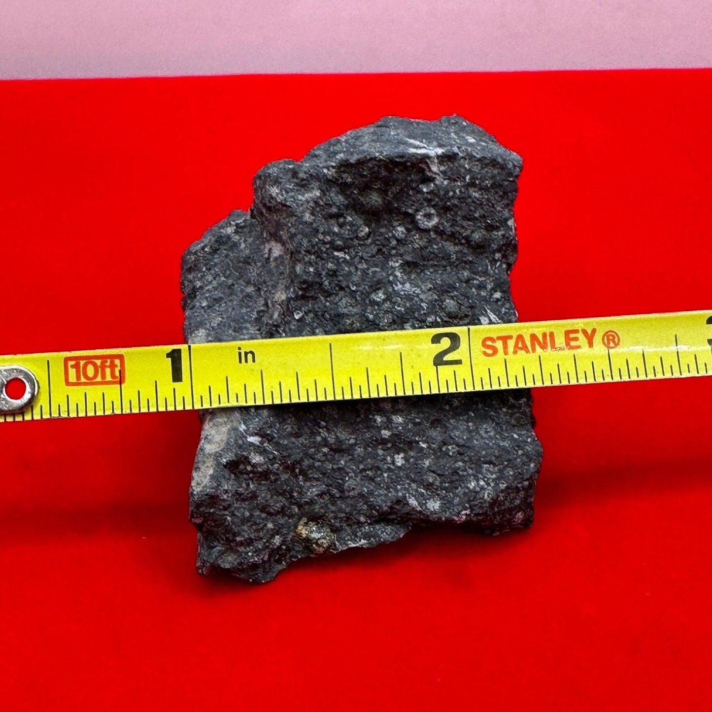 Allende Carbonaceous Chondrite, CV3, 48.38 grams, Authentic Meteorite, Allende, Authentic Meteorite, COA, Astronomy Gift, Space Gift