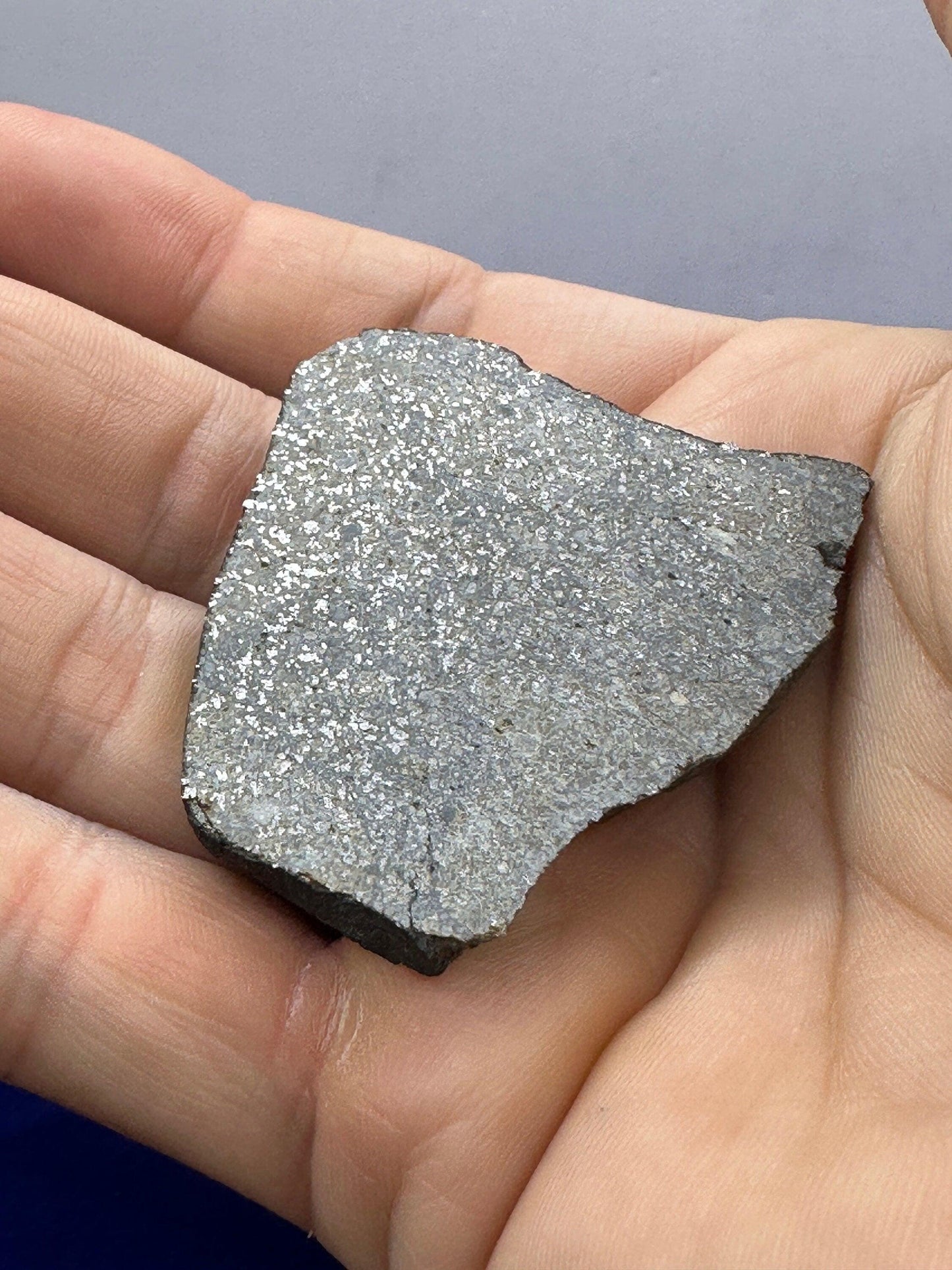 Chergach Meteorite Slice, Mali Chondrite, Meteorite, Meteorite Collection, Chondrite, Astronomy Gift, 23.77 grams