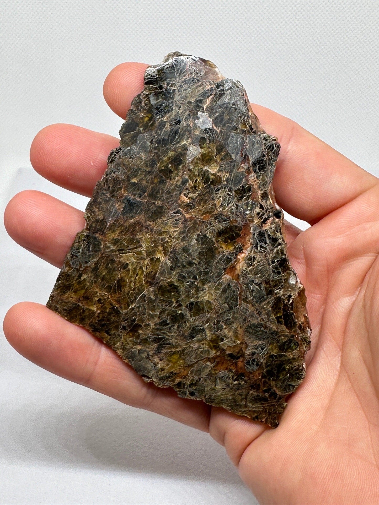 NWA 7831 Diogenite Meteorite Slice, HED Achondrite Meteorite, Diogenite, Astronomy Gift, Space Gift, Iron Meteorite, Space, 27.79 grams