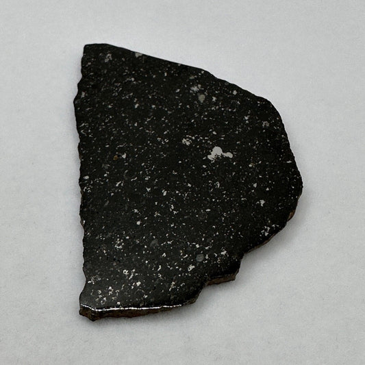 Tassedet 004 Meteorite Slice, Meteorite, Space Gift, Astronomy Gift, Tassedet, Authentic Meteorite, COA, 15.56 Grams