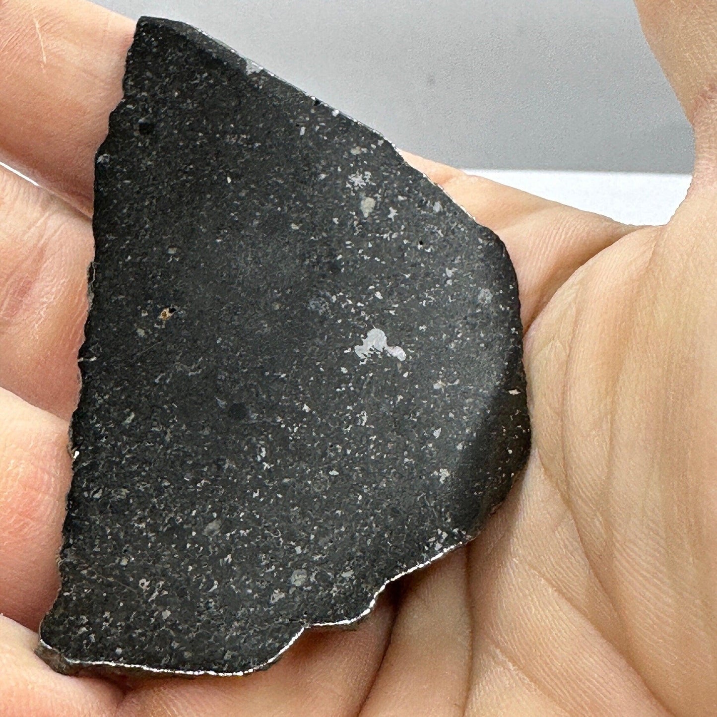 Tassedet 004 Meteorite Slice, Meteorite, Space Gift, Astronomy Gift, Tassedet, Authentic Meteorite, COA, 15.56 Grams