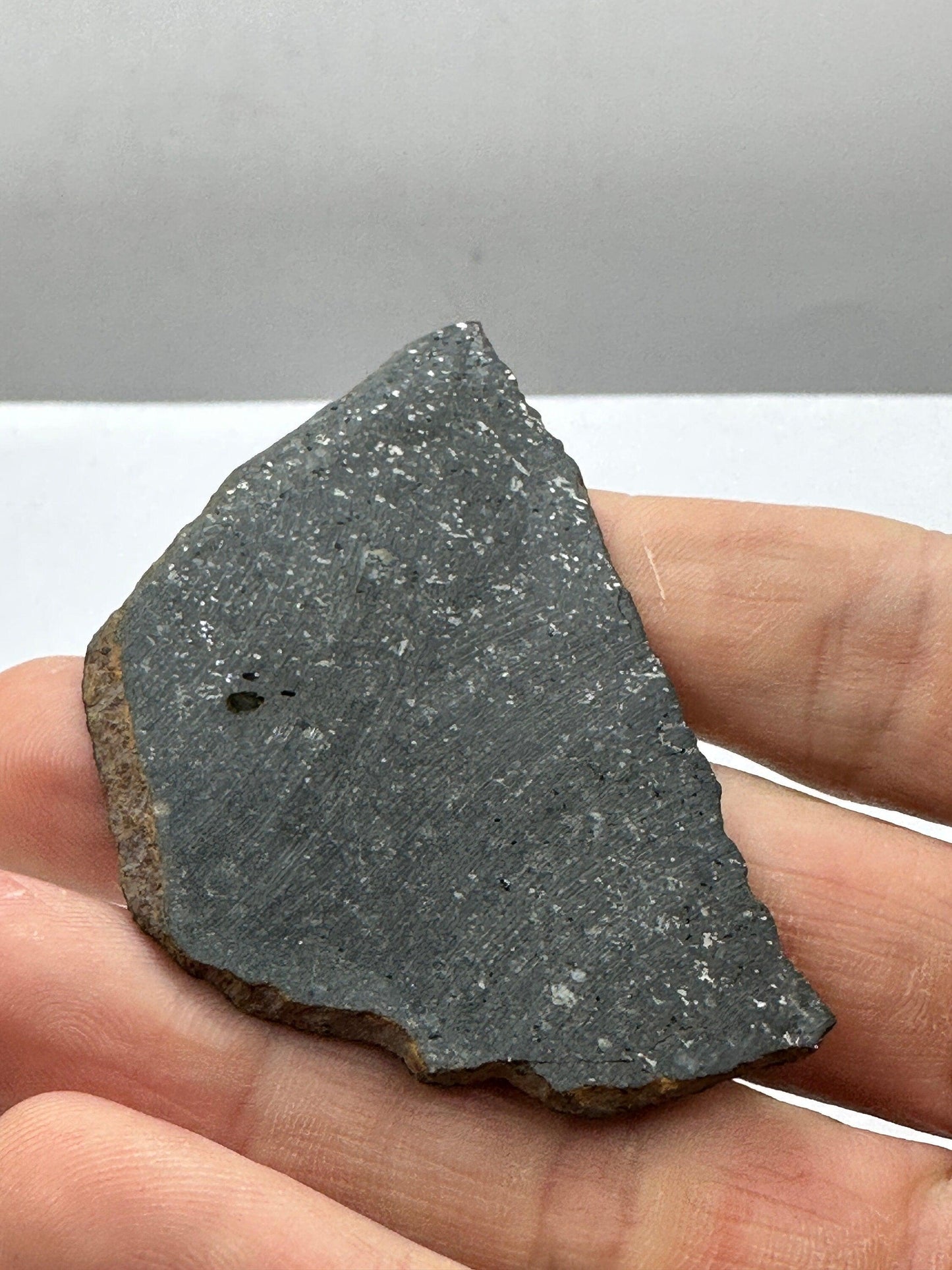 Tassedet 004 Meteorite Slice, Meteorite, Space Gift, Astronomy Gift, Tassedet, Authentic Meteorite, COA, 15.56 Grams