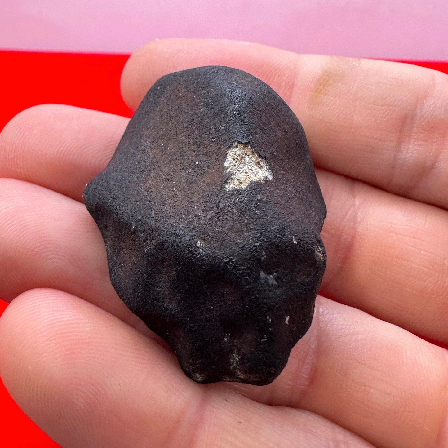 Beautiful Meteorite Vinales Chondrite, L6 Stony Meteorite, Witnessed Fall, 2019, Authentic Meteorite, Astronomy Gift, Space Gift, 34.98g