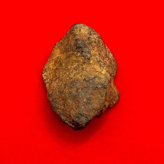 Henbury Meteorite Specimen, Australia, 9.73 grams, Rare Meteorite, Iron Meteorite, Astronomy Gift, Space Gift, Australian Meteorite