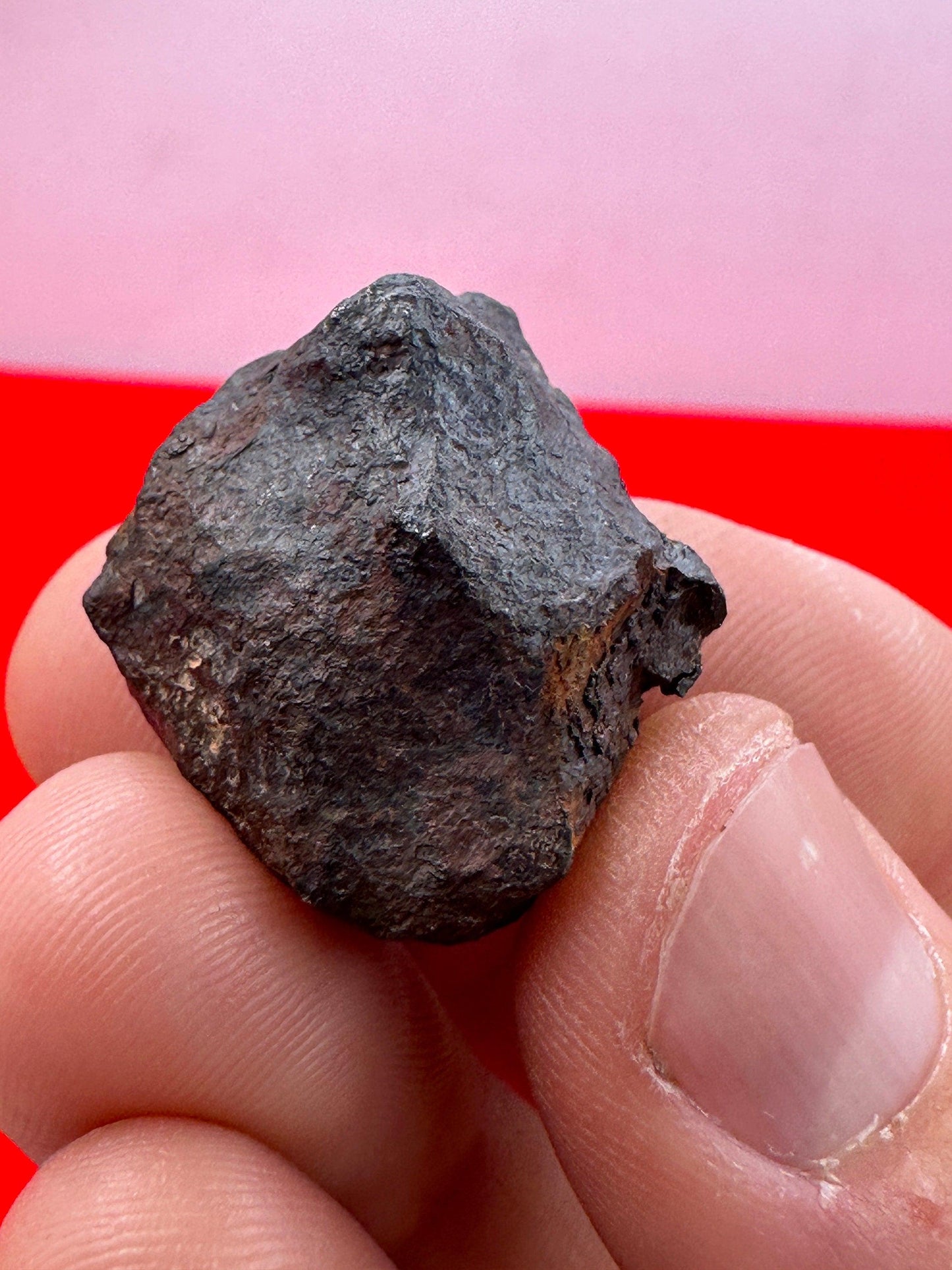 Unique Iron Meteorite Mundrabilla, 26.82 grams, Astronomy Gift, Space Gift, Iron Meteorite, Australia, Meteorite Collection, Space, COA