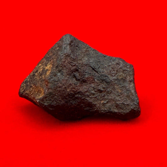 Unique Iron Meteorite Mundrabilla, 15.44 grams, Astronomy Gift, Space Gift, Iron Meteorite, Australia, Meteorite Collection, Space, COA