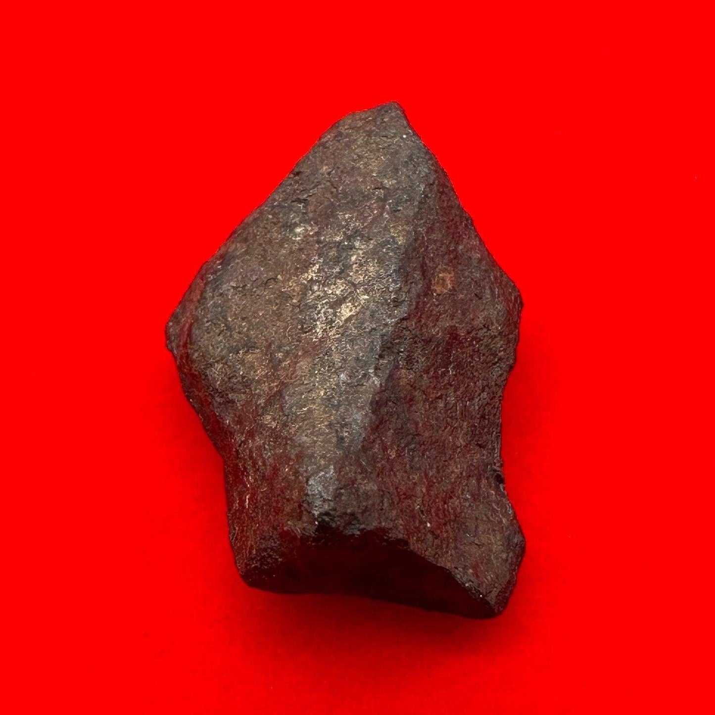 Unique Iron Meteorite Mundrabilla, 15.44 grams, Astronomy Gift, Space Gift, Iron Meteorite, Australia, Meteorite Collection, Space, COA