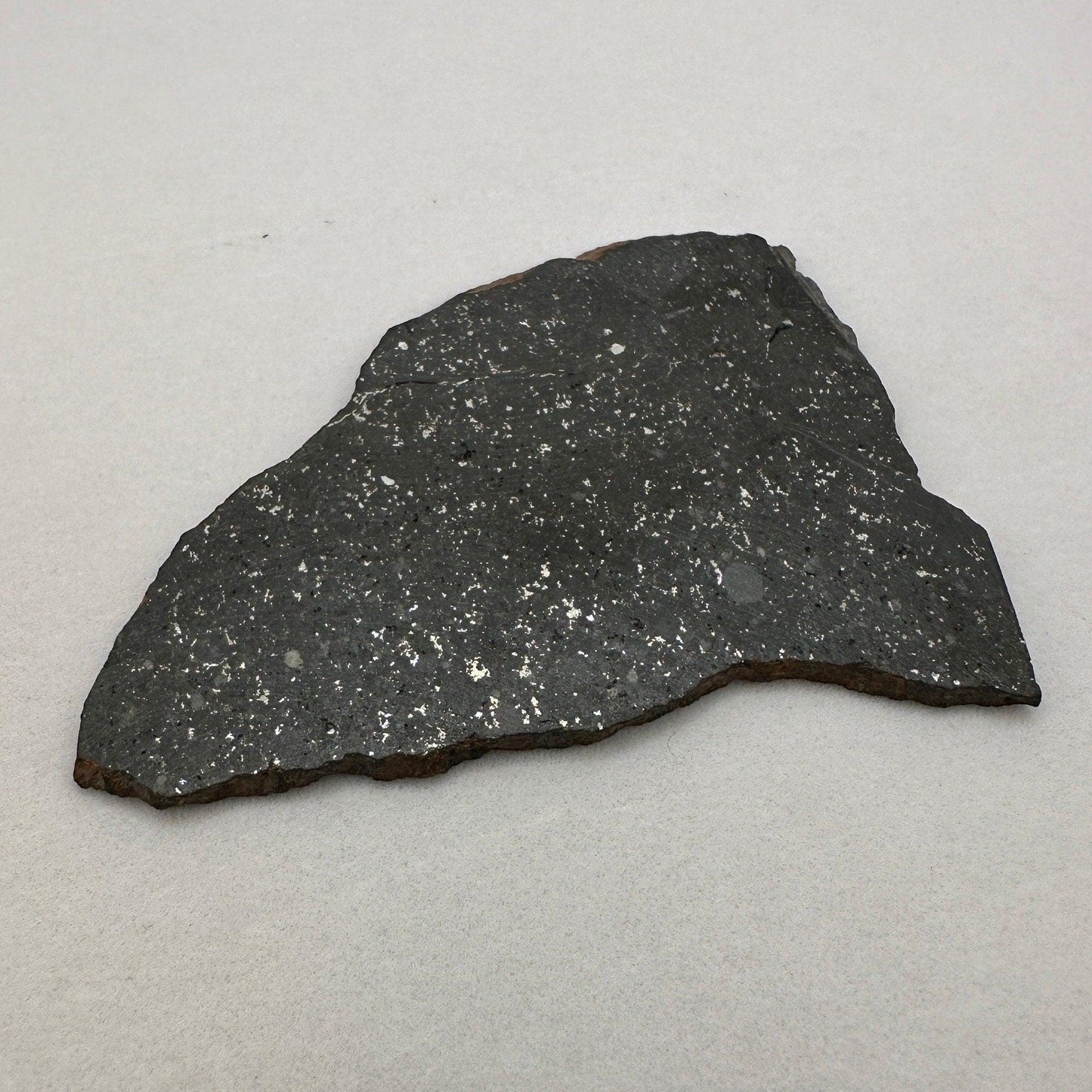 Tassedet 004 Meteorite Slice, Meteorite, Space Gift, Astronomy Gift, Tassedet, Authentic Meteorite, COA, 17.85 Grams