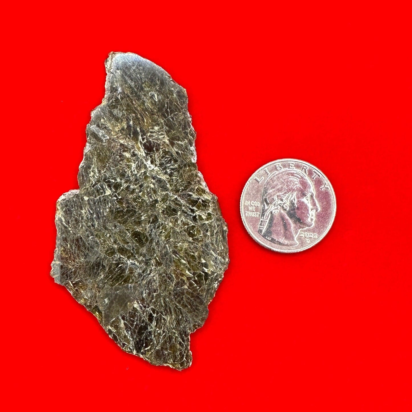 NWA 7831 Diogenite Meteorite Slice, HED Achondrite Meteorite, Diogenite, Astronomy Gift, Space Gift, Iron Meteorite, Space, 17.49 grams