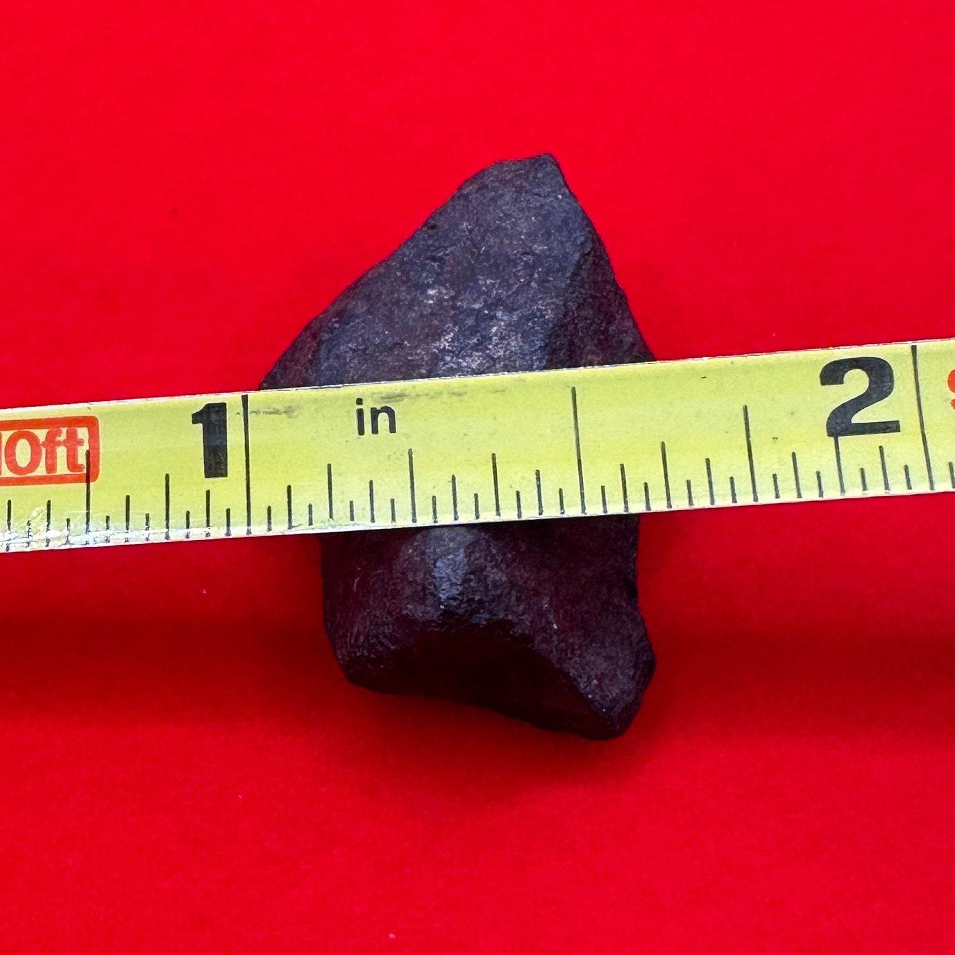 Unique Iron Meteorite Mundrabilla, 15.44 grams, Astronomy Gift, Space Gift, Iron Meteorite, Australia, Meteorite Collection, Space, COA