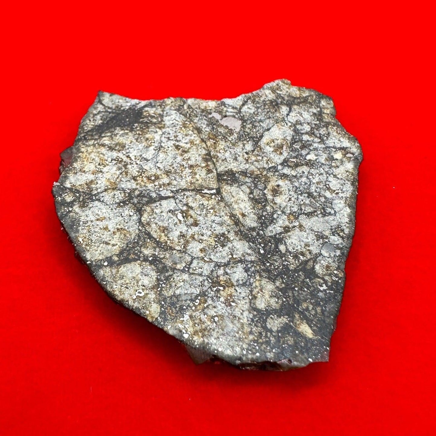 Vinales Meteorite Slice, Vinales, L6 Chondrite, Wintessed Fall, Chondrules, Meteorite Collection, Chondrite, Astronomy Gift, 6.86 grams