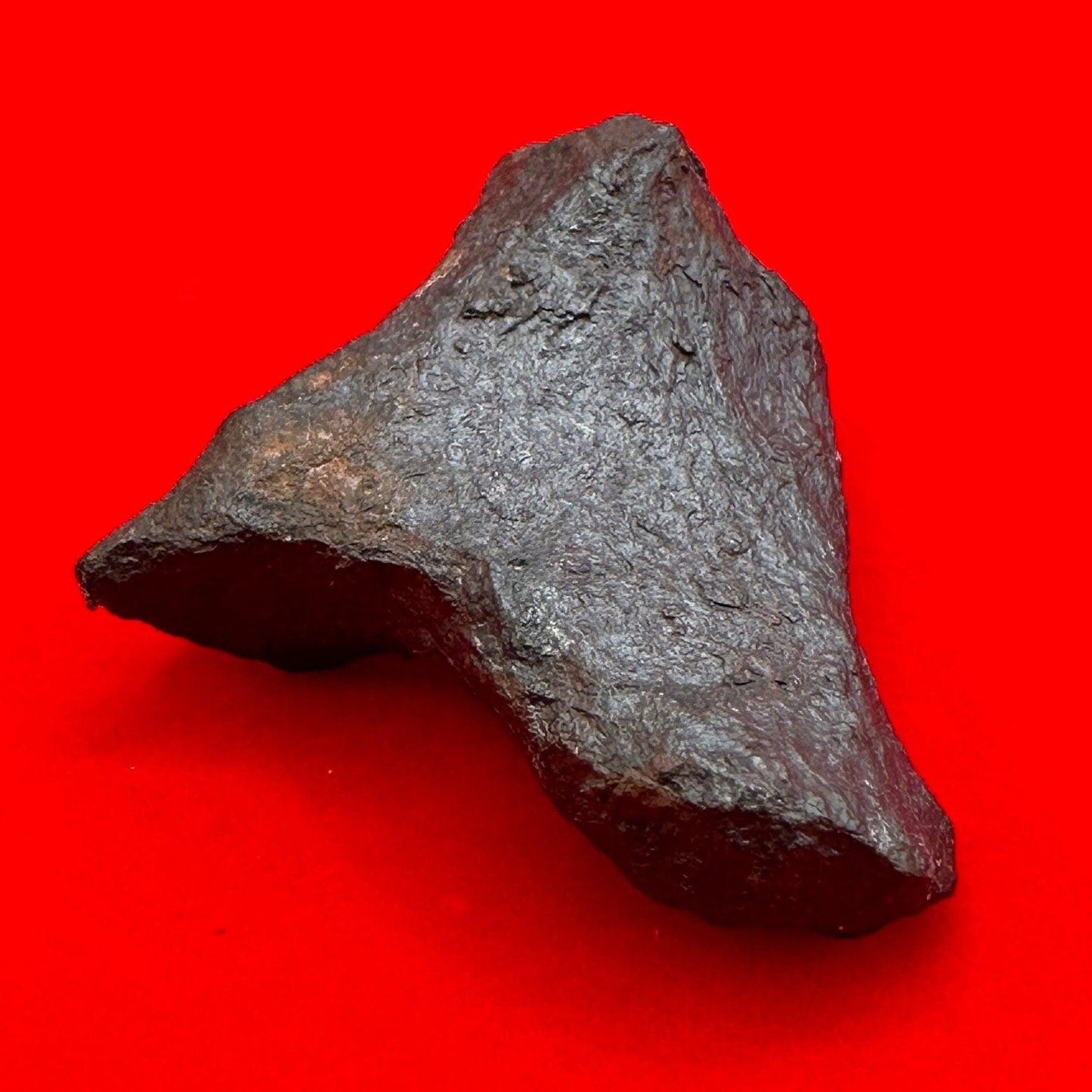 Unique Iron Meteorite Mundrabilla, 19.82 grams, Astronomy Gift, Space Gift, Iron Meteorite, Australia, Meteorite Collection, Space, COA