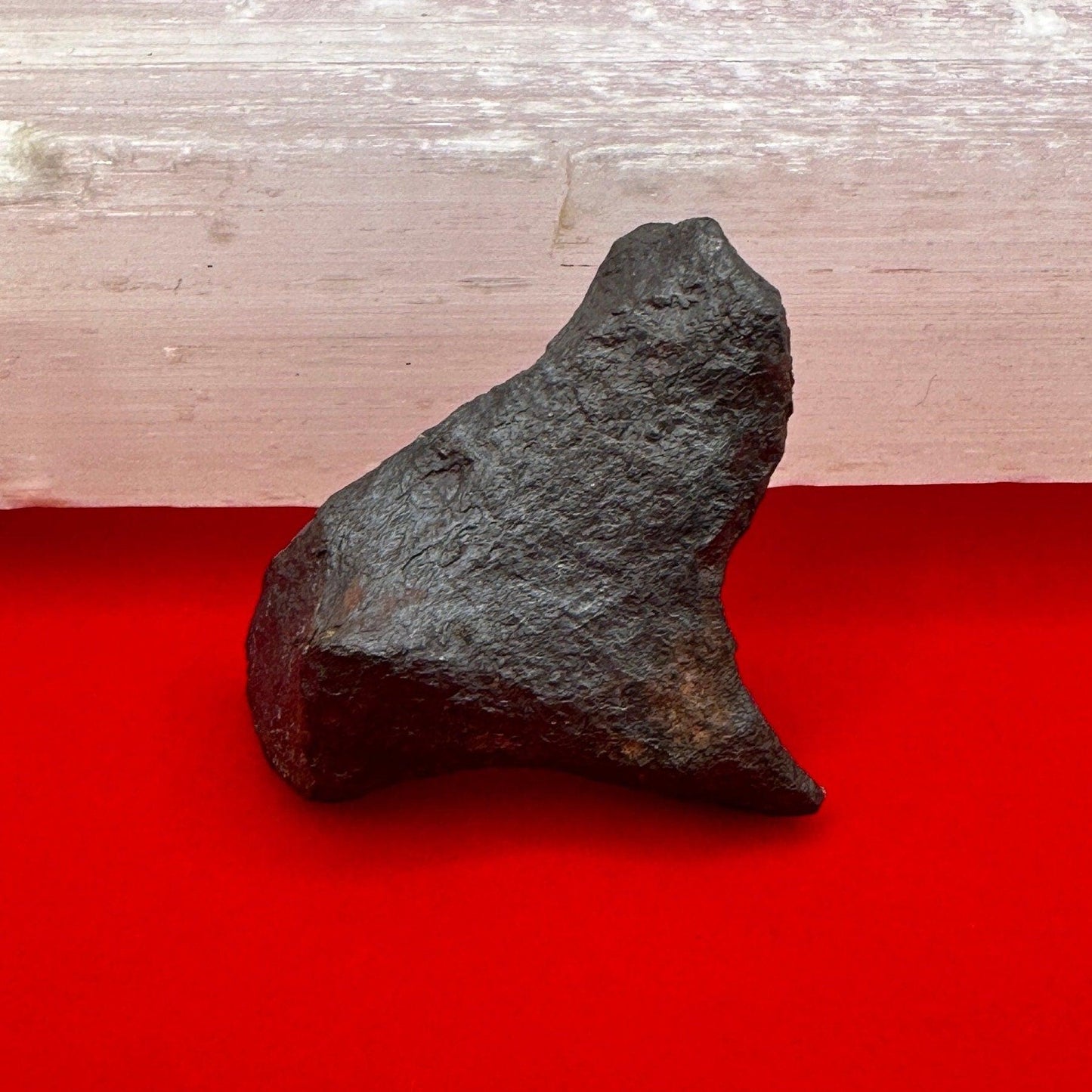 Unique Iron Meteorite Mundrabilla, 19.82 grams, Astronomy Gift, Space Gift, Iron Meteorite, Australia, Meteorite Collection, Space, COA