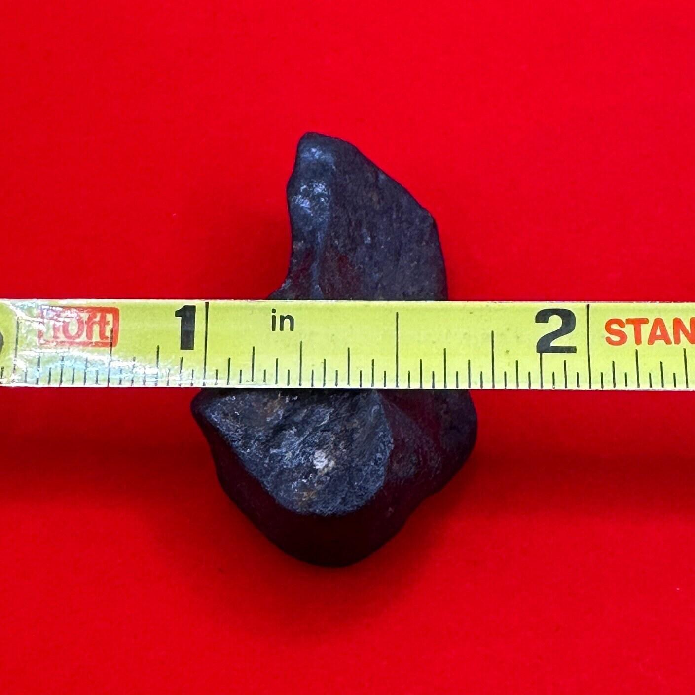 Beautiful Meteorite Chelyabinsk Russia Chondrite Stony Meteorite, 9.87 grams, Youtube Sensation!!! 2013, Astronomy Gift, Space Gift