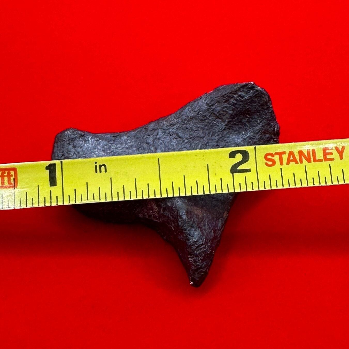 Unique Iron Meteorite Mundrabilla, 19.82 grams, Astronomy Gift, Space Gift, Iron Meteorite, Australia, Meteorite Collection, Space, COA