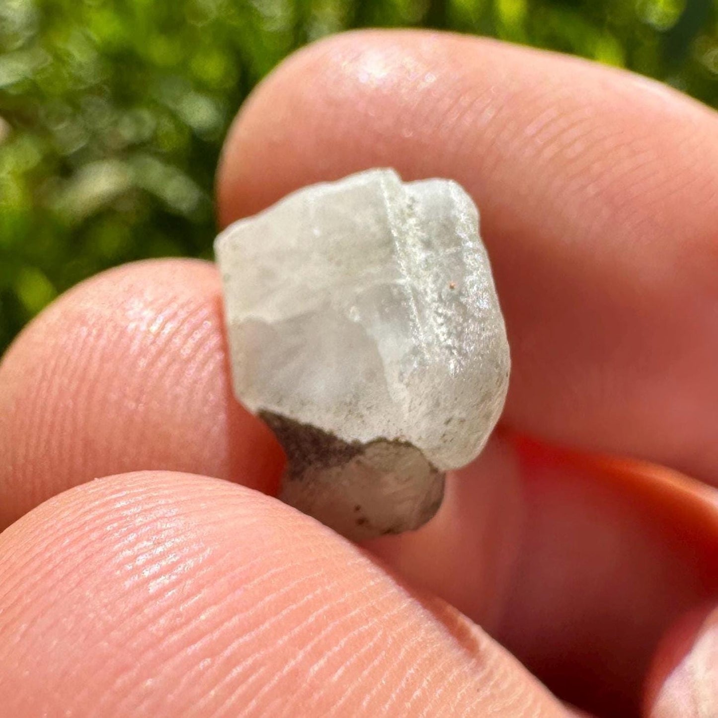 Beautiful Phenacite|Phenakite Crystal, Brazil, Full Moon Activated, Meditation, Awakening, Brazilian Phenacite, 1.20 grams, 6.0 carats