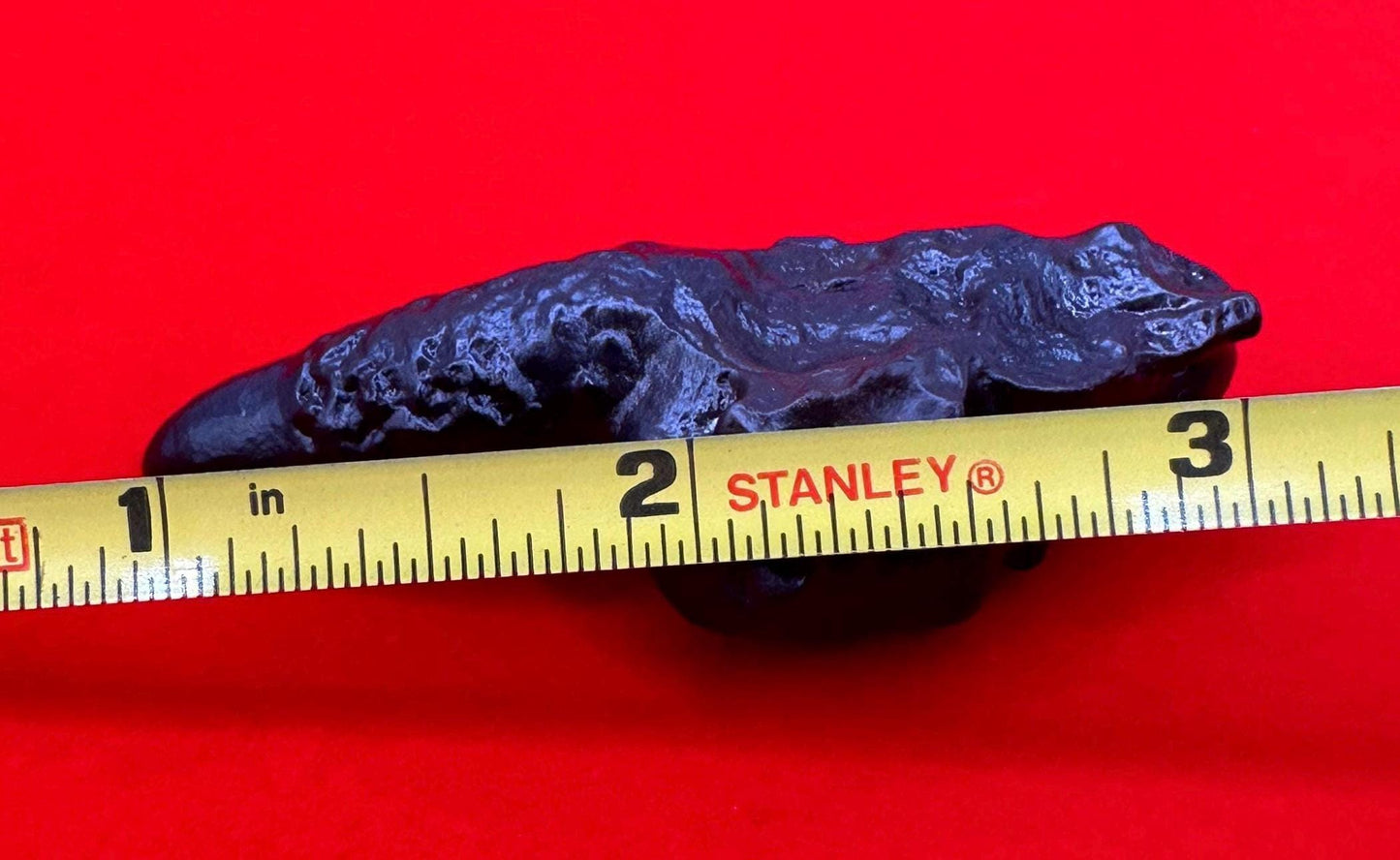 Rare and Unique Large Elongated Prophecy Stone from Egypt, Witches Pinky, Authentic, Inner Vision, Dreamwork, Energy Work, 31.52 grams