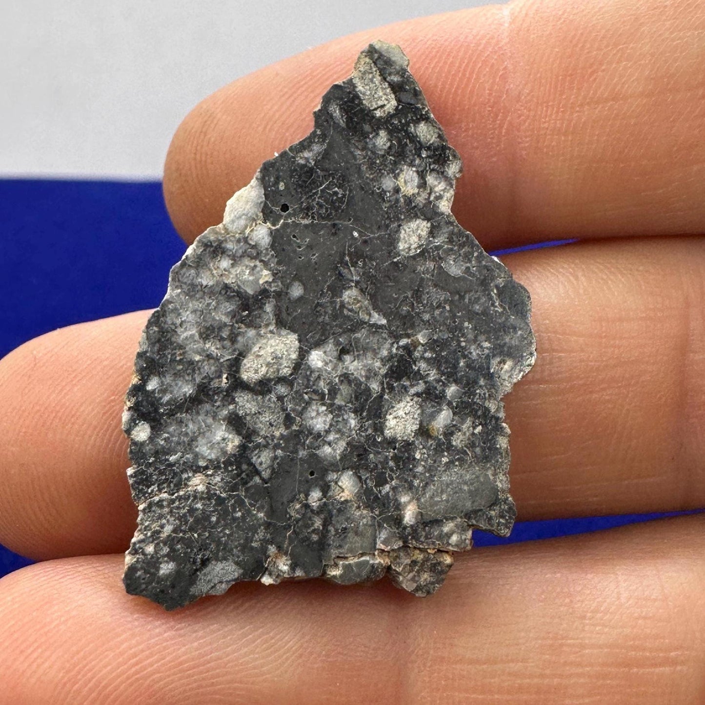 NWA 15583 Moon|Lunar Meteorite Slice, Feldspathic Breccia, Moon Meteorite, Meteorite Collection,Lunar Feldspathic Breccia, 3.48 grams