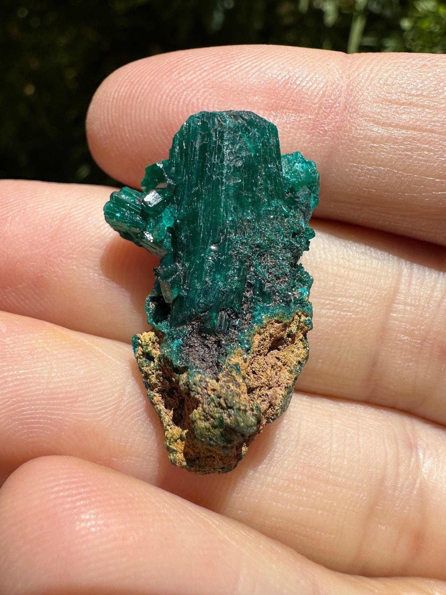 Dioptase, Dioptase Crystal, Deep Emerald Green Color, Authentic, Congo, Reiki, Heart Chakra, Compassion, Financial Abundance, 5.96 grams