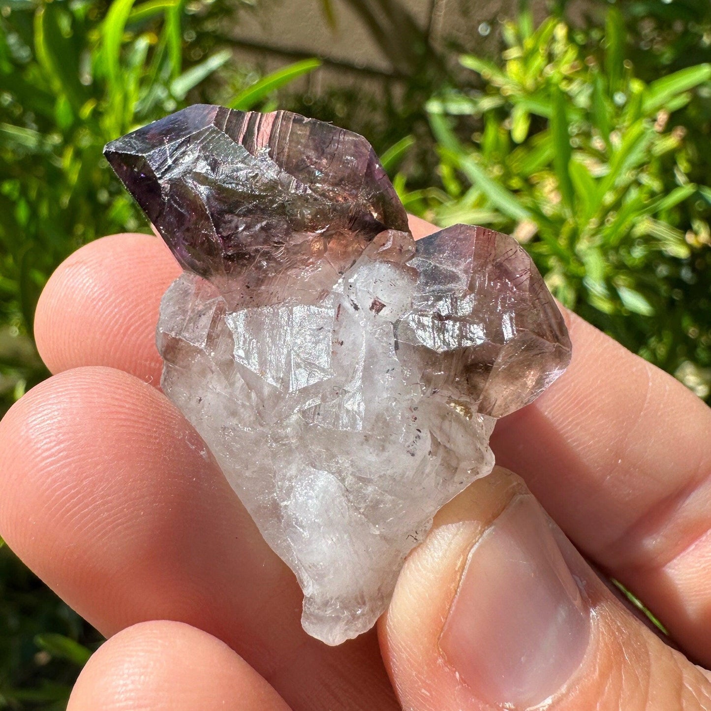 Shangaan Amethyst Crystal Cluster, Crystal Cluster, Amethyst, Zimbabwe, Reiki Healing, Twin Flame, Twin Scepter, 20.41 Grams