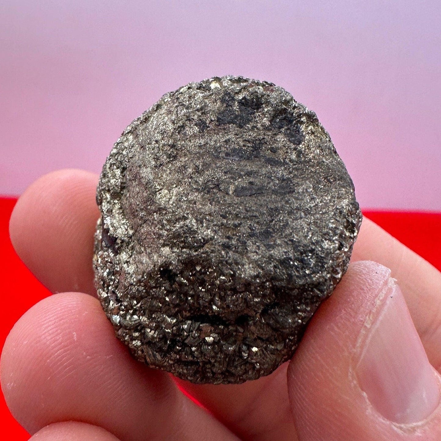 Golden Prophecy Stone, Rare and Unique, Marcasite Nodule, Crystal of Protection, Pyrite, Reiki, Rock Collection, Transformation, 64.49 grams