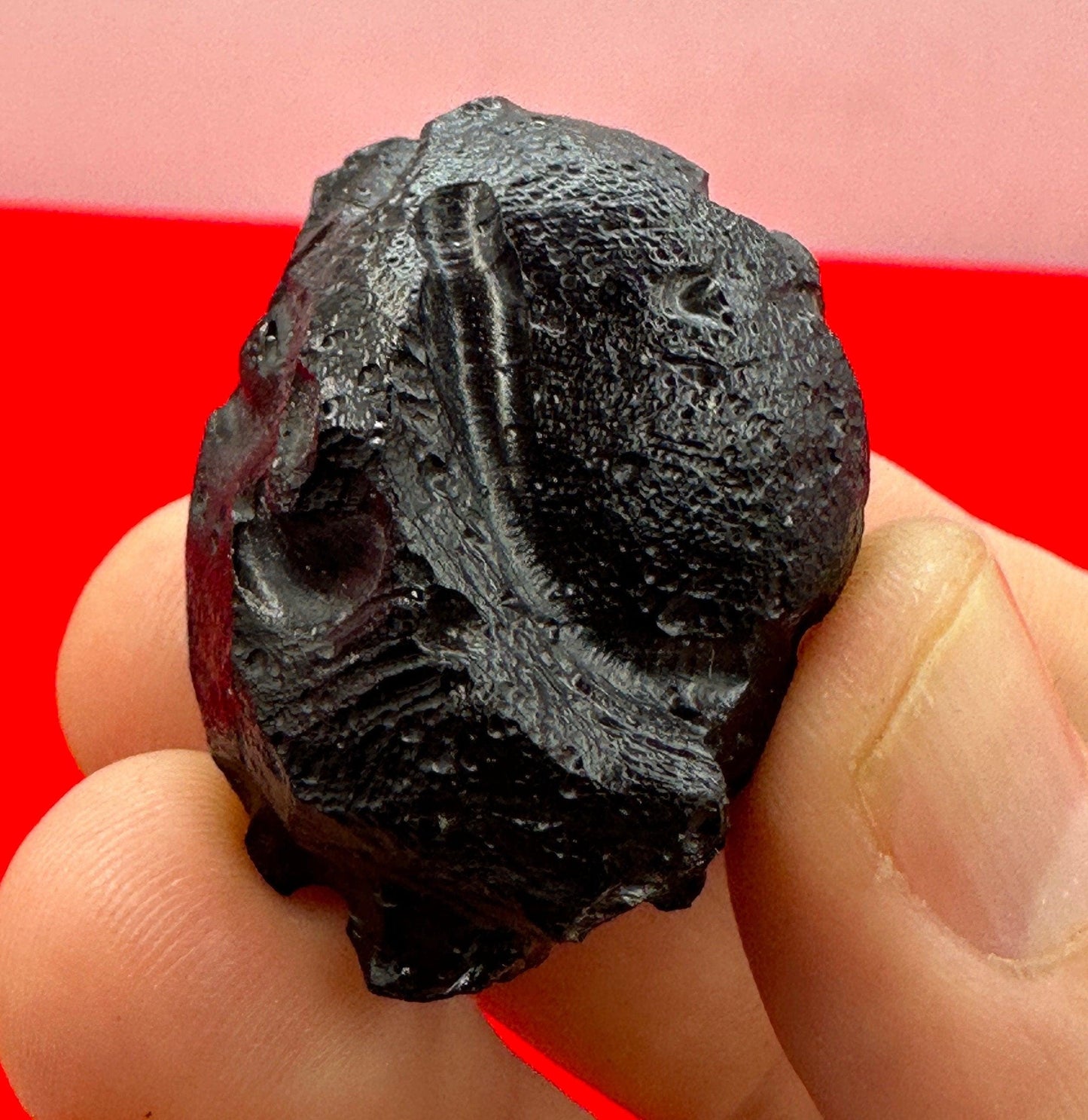 Billitonite Tektite, Reiki, Batu Satam, Rare Tektite, Healing, Space Gift, Astronomy Gift, Meteorite and Tektite Collection, 19.55 grams