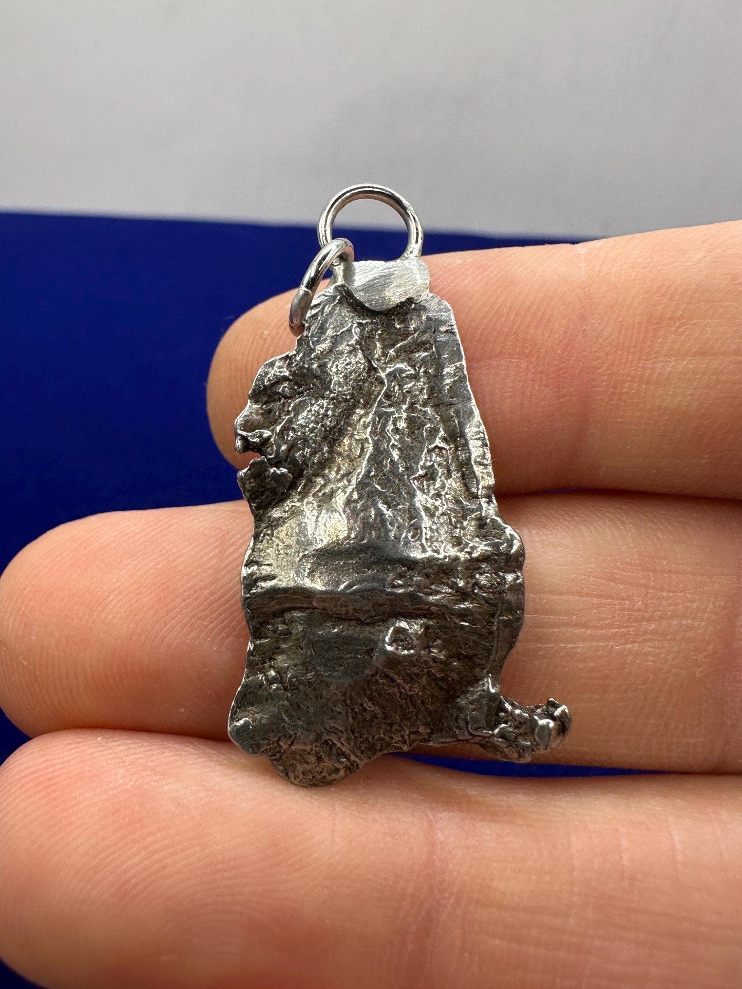 Beautiful Aletai Meteorite Pendant, 7.59 grams, Astronomy Gift, Authentic Meteorite, Meteorite Jewelry, Meteorite Pendant, COA