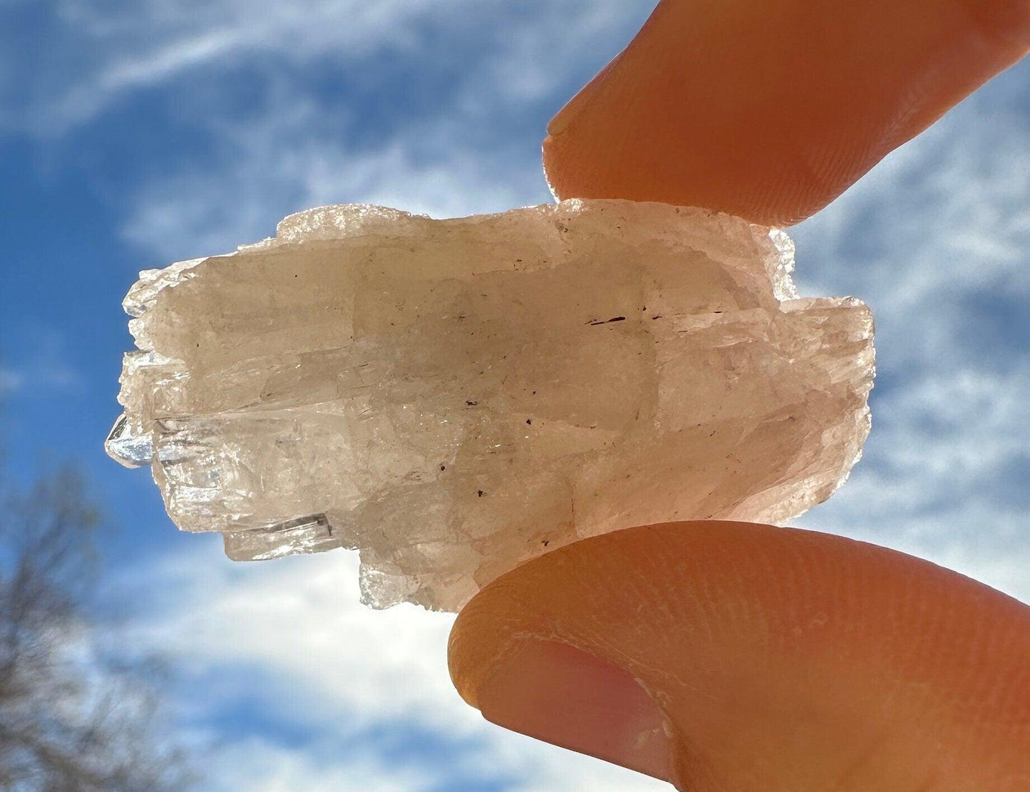 Danburite Crystal Cluster, Mexico, Meditation, Reiki, Energy Healing, Synergy Twelve, Crystal Collection, Chakras, Crystals, 20.82 grams