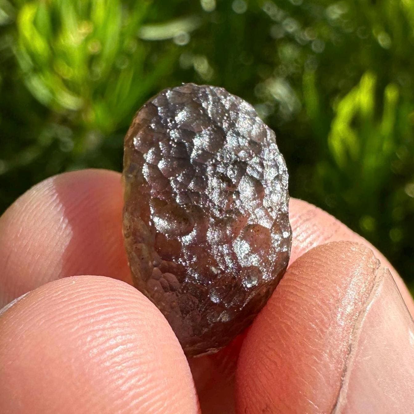 Colombianite Specimen, Beautiful and Translucent, Shamanic, Tektite, Pseudotektite, Obsidian, Healing Energy, Metaphysical, 2.12 grams