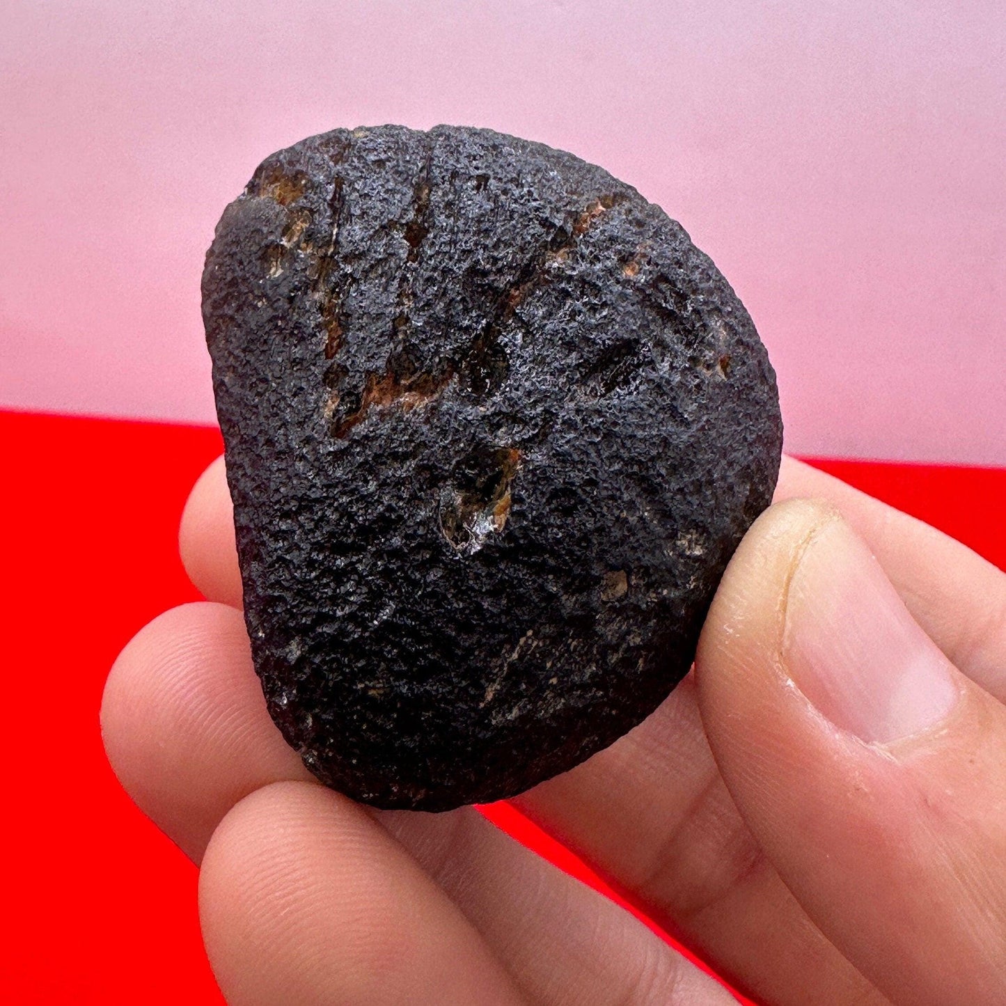 Agni Manitite, Rare Tektite, Pearl of Divine Fire, Indochinite Tektite, Rock Impactite, Reiki, Java, Indonesia, 68.22 grams, Astronomy Gift