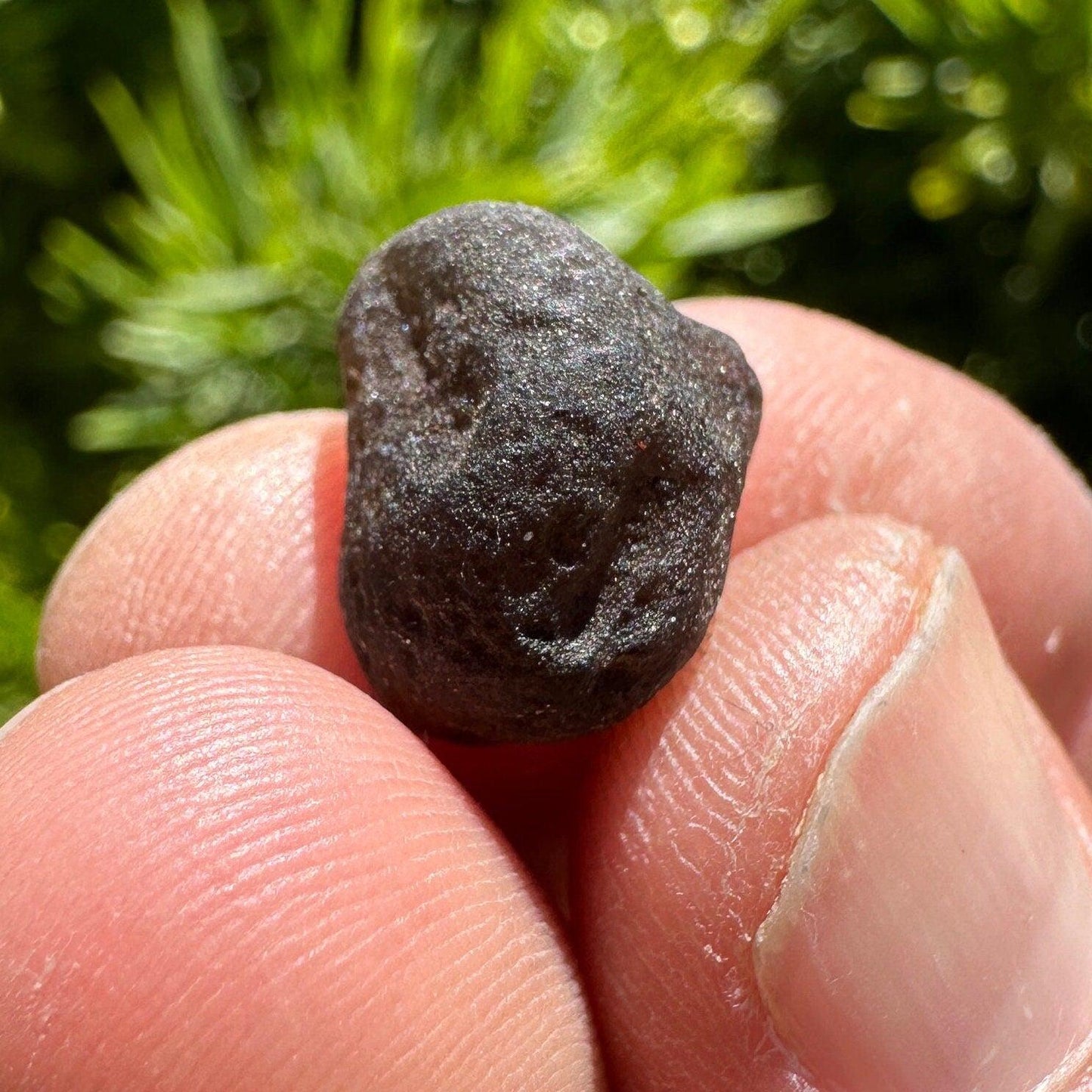 Saffordite Specimen, Cintamani, Rare and Beautiful, Shamanic, Arizona, Pseudotektite, Obsidian, Metaphysical, 2.15 grams