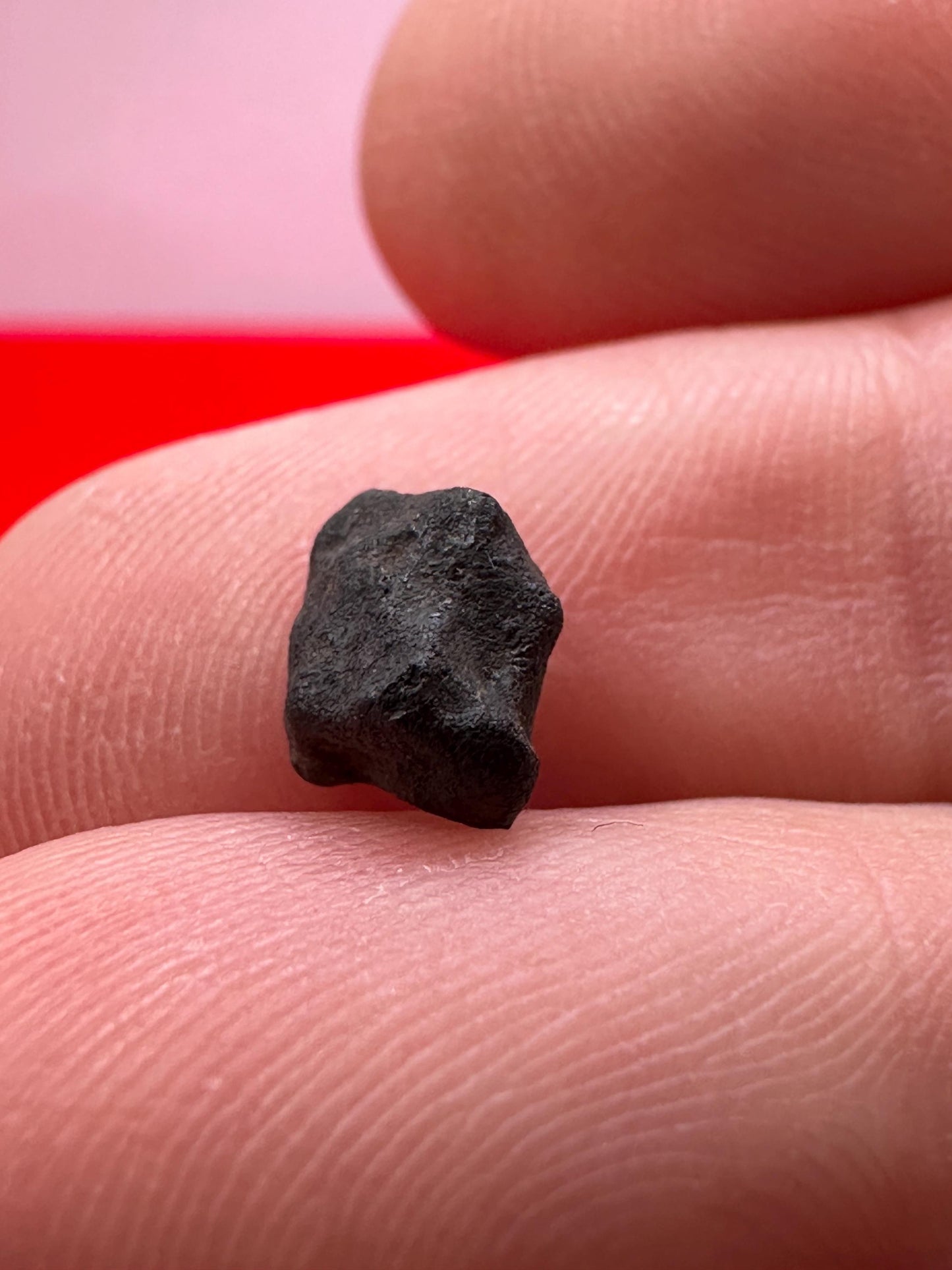 Beautiful Meteorite Chelyabinsk Russia Chondrite Stony Meteorite Locket Pendant, Chelyabinsk, Rare Little Meteorites, Astronomy Gift