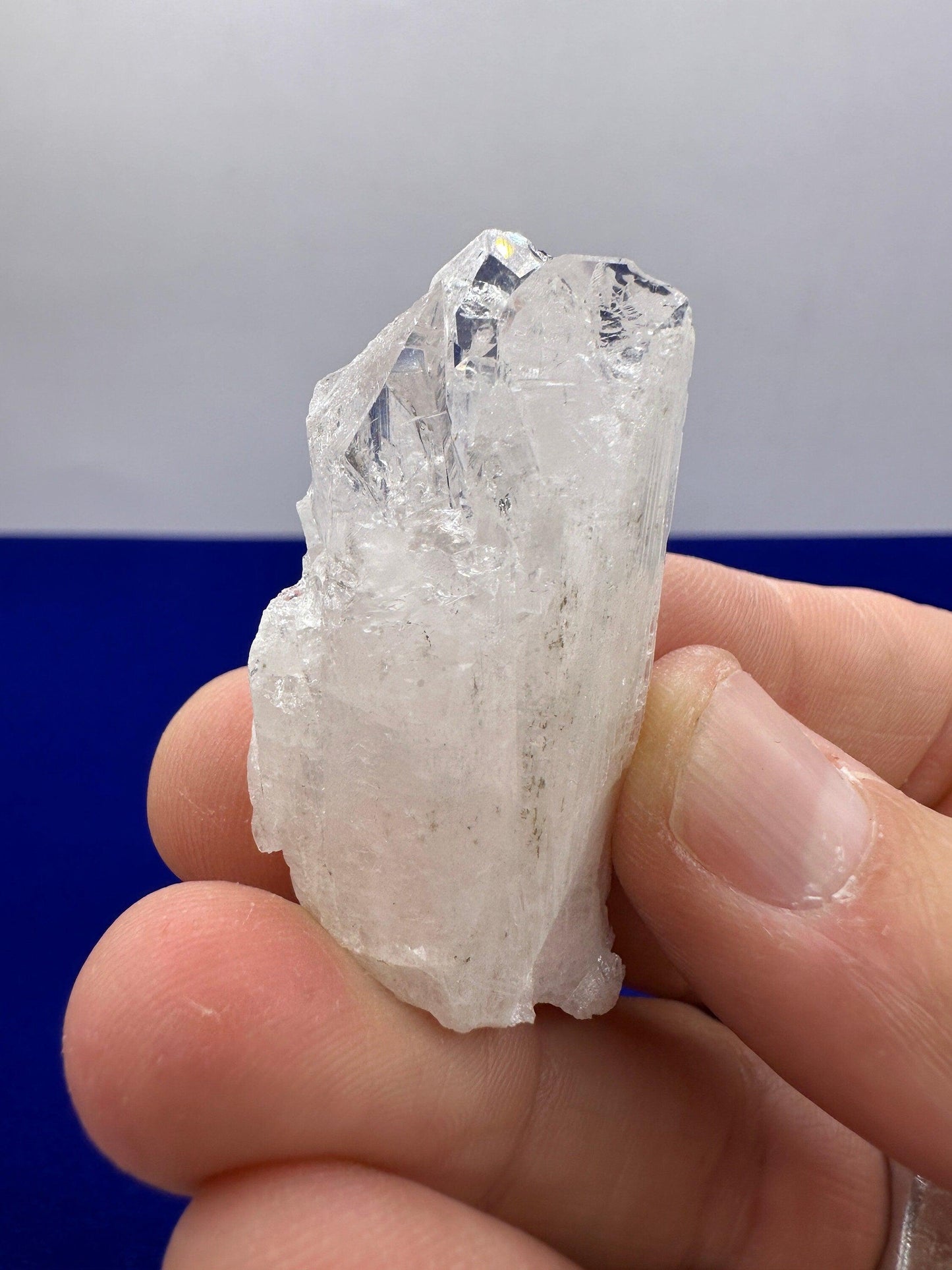 Danburite Crystal, Mexico, Meditation, Reiki, Energy Healing, Synergy Twelve, Crystal Collection, Chakras, Crystals, 20.00 grams