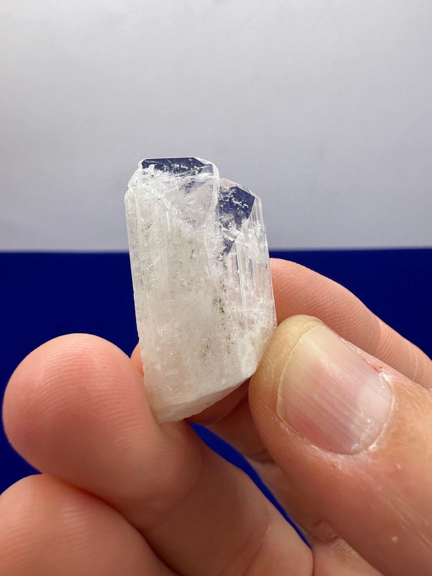 Danburite Crystal, Mexico, Meditation, Reiki, Energy Healing, Synergy Twelve, Crystal Collection, Chakras, Crystals, 8.12 grams