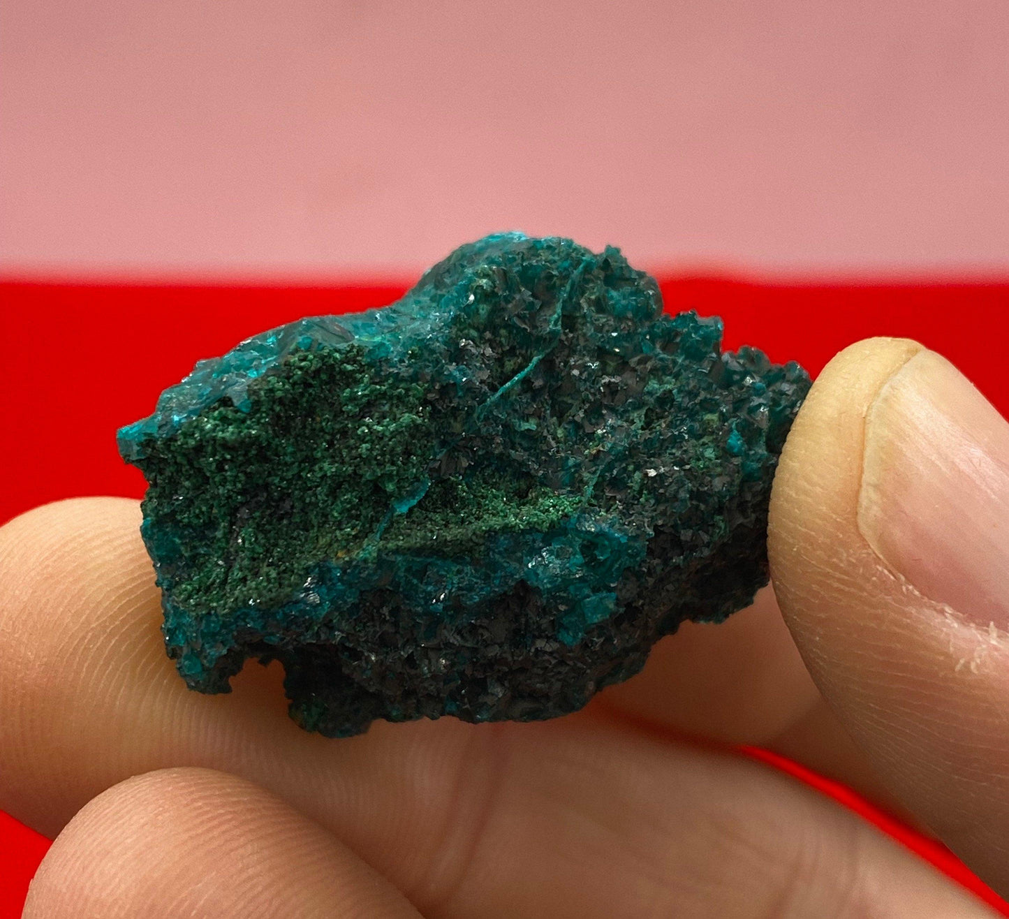 Dioptase, Dioptase Crystal, Deep Emerald Green Color, Authentic, Congo, Reiki, Heart Chakra, Compassion, Financial Abundance, 14.89 grams