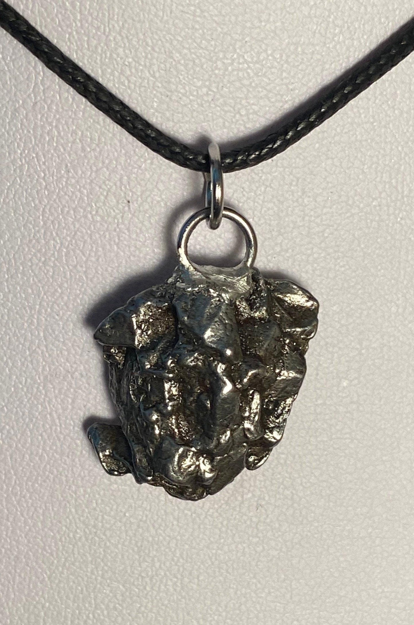 Campo del Cielo Meteorite Pendant 9.34 grams, a gift from the cosmos