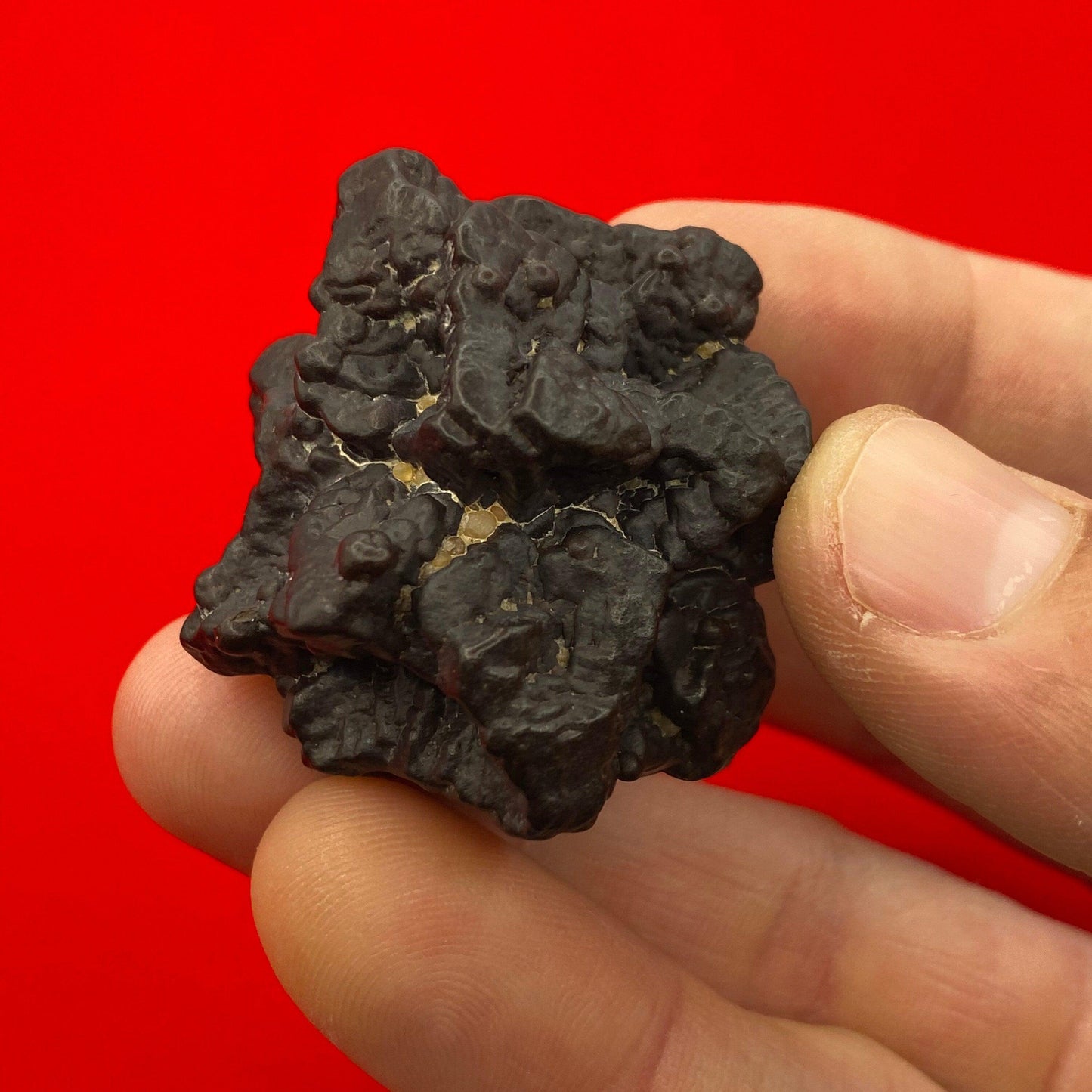 Prophecy Stone from Egypt, Authentic, Inner Vision, Dreamwork stone, Rare and unique shape and features, Reiki, Rock Collection, 54.93 grams
