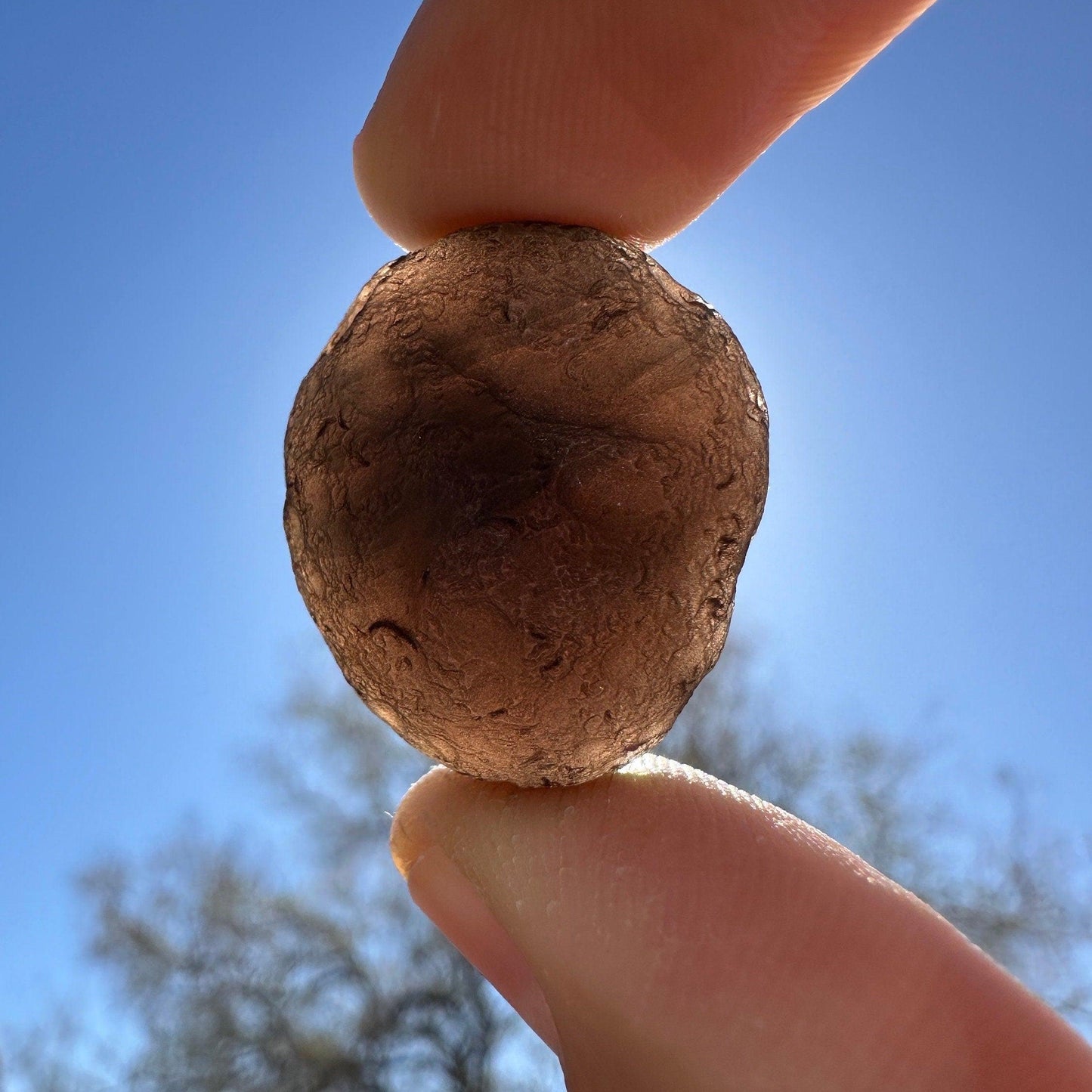 Saffordite Specimen, Cintamani, Rare and Beautiful, Shamanic, Arizona, Pseudotektite, Obsidian, Metaphysical, 10.87 grams