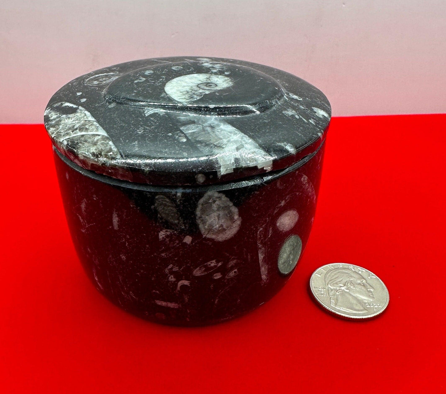 Beautiful Ammonite Handmade Stash Box, Round Black Marble Box with Fitted Lid, Golden Section, Fossil, Morocco, 15.1 ounces