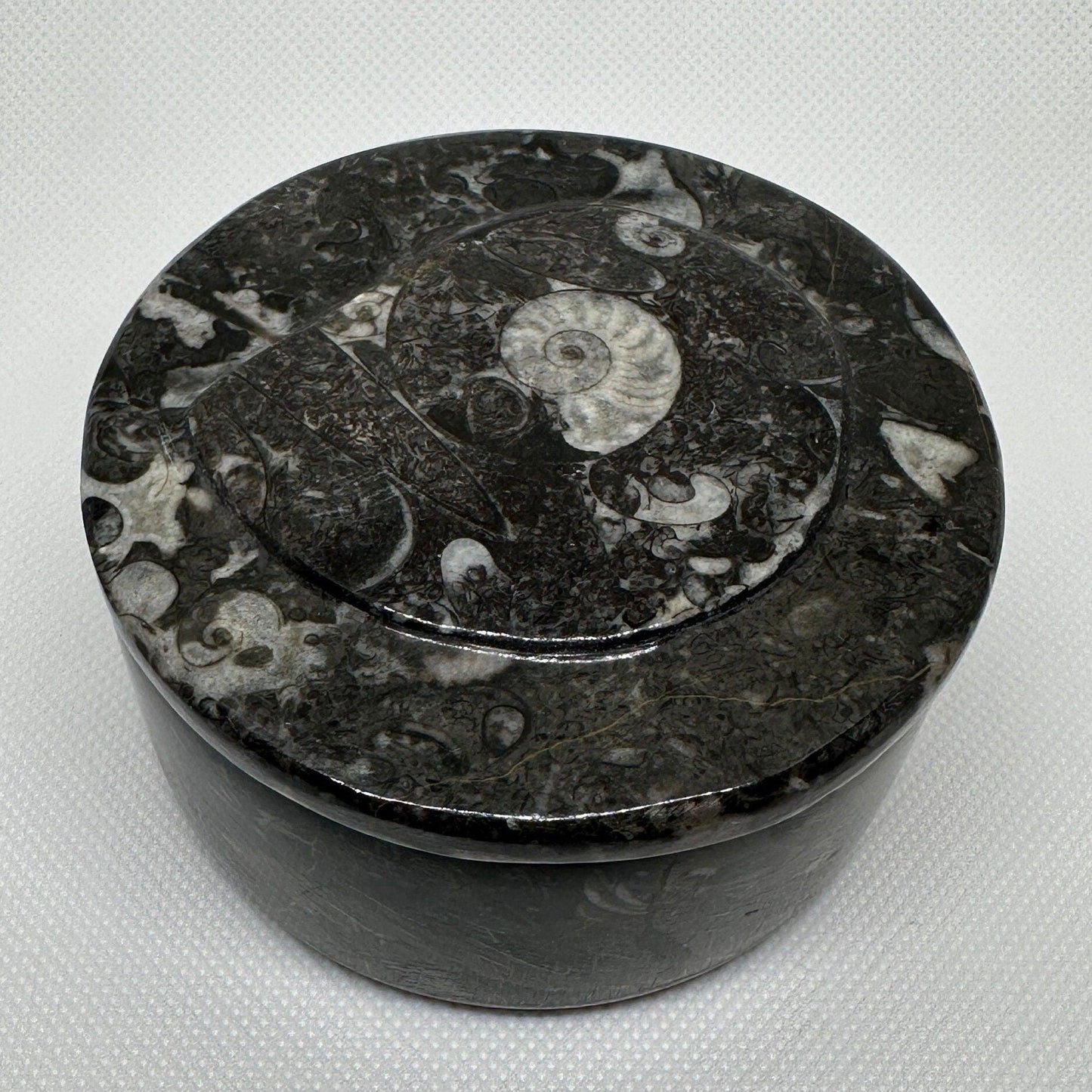 Beautiful Ammonite Handmade Stash Box, Round Black Marble Box with Fitted Lid, Golden Section, Fossil, Morocco, 13.8 ounces