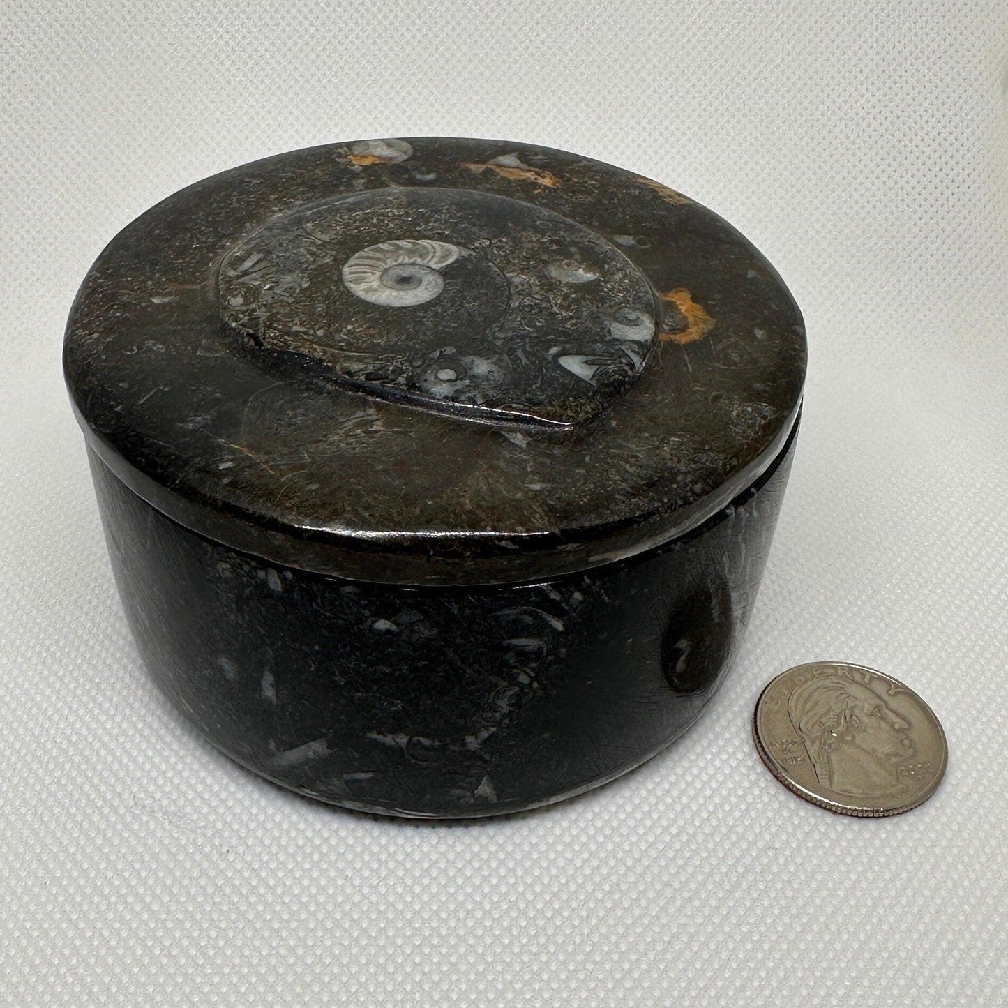 Beautiful Ammonite Handmade Stash Box, Round Black Marble Box with Fitted Lid, Golden Section, Fossil, Morocco, 13.6 ounces