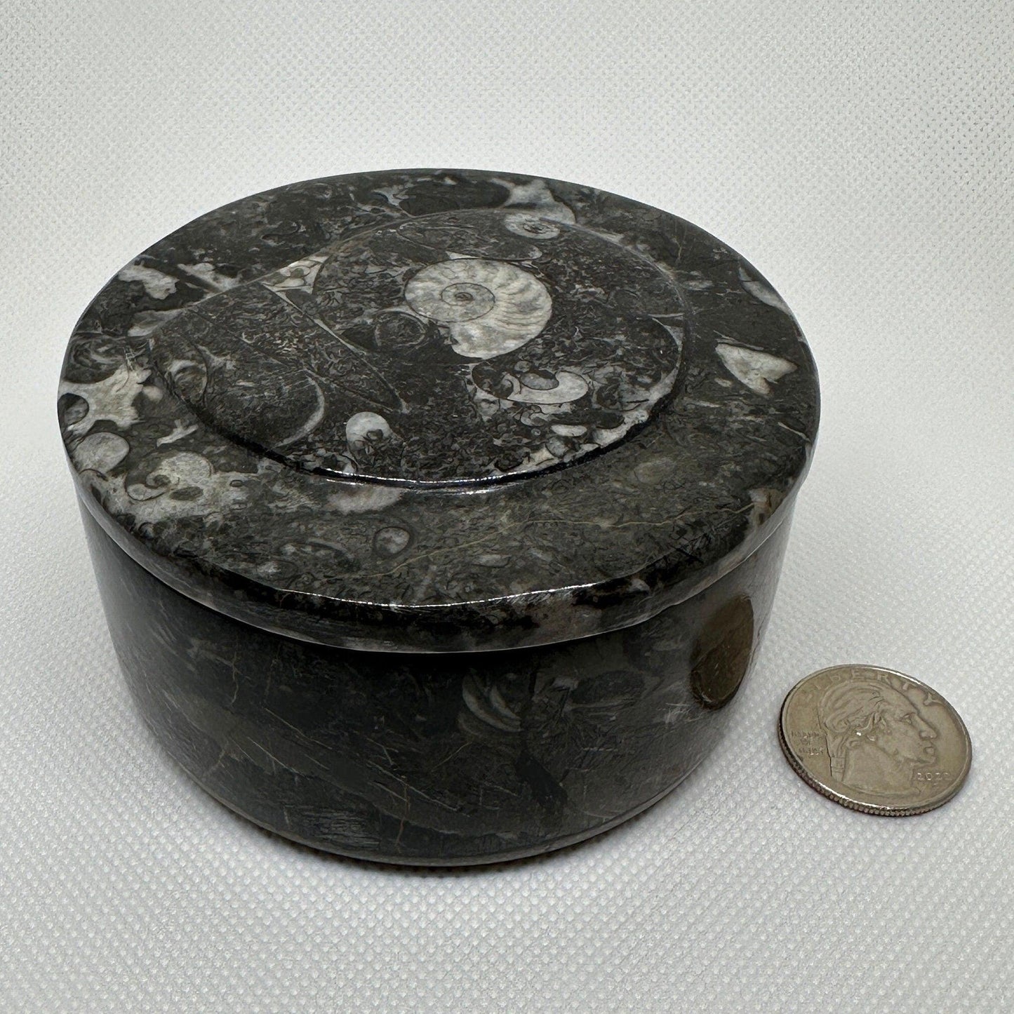 Beautiful Ammonite Handmade Stash Box, Round Black Marble Box with Fitted Lid, Golden Section, Fossil, Morocco, 13.8 ounces