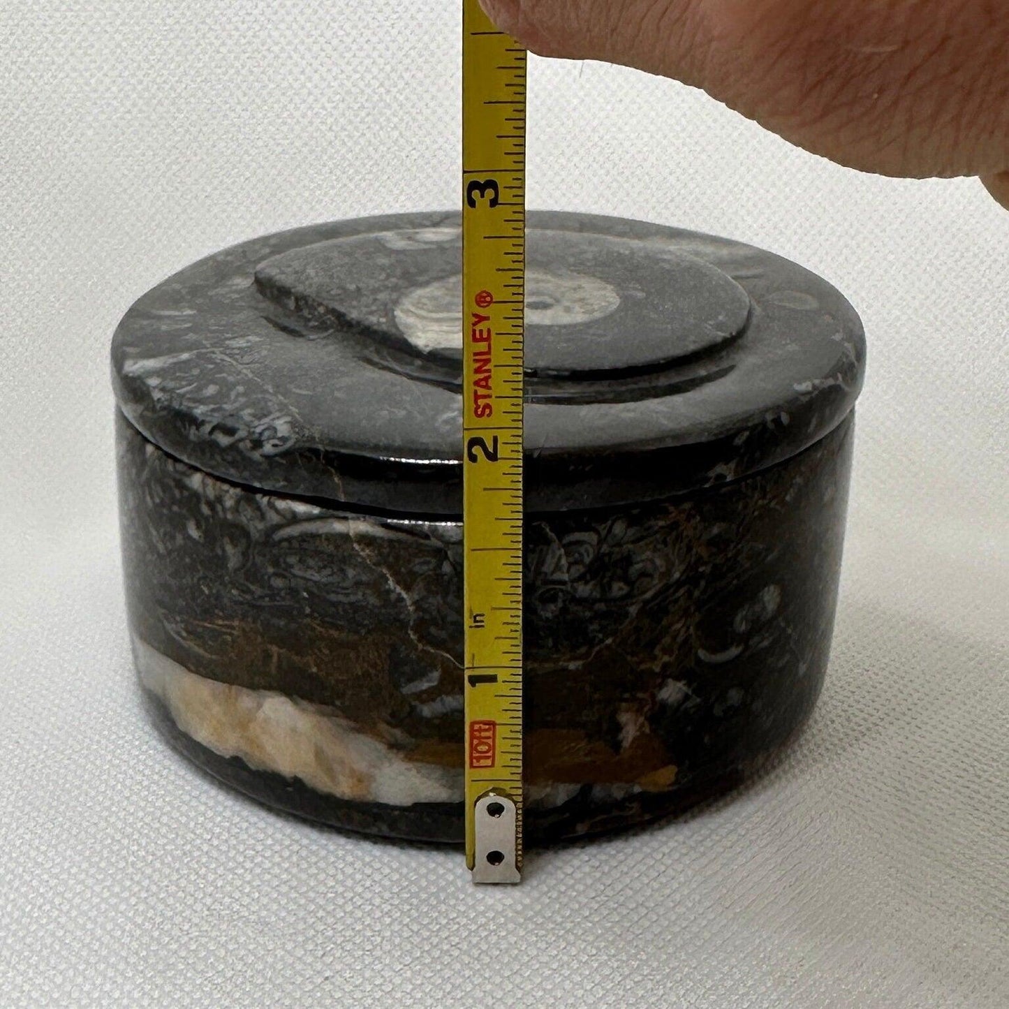 Beautiful Ammonite Handmade Stash Box, Round Black Marble Box with Fitted Lid, Golden Section, Fossil, Morocco, 13.7 ounces