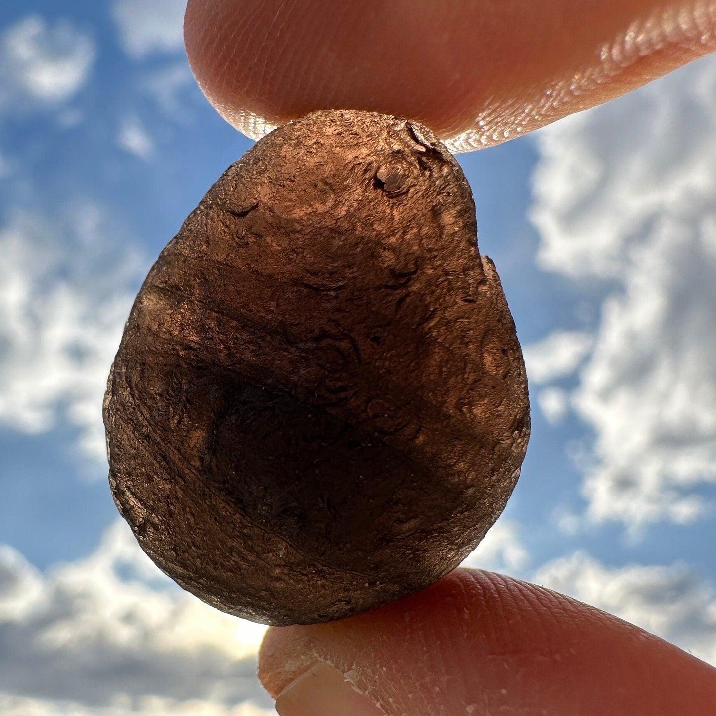 Saffordite Specimen, Cintamani, Rare and Beautiful, Shamanic, Arizona, Pseudotektite, Obsidian, Metaphysical, 10.00 grams