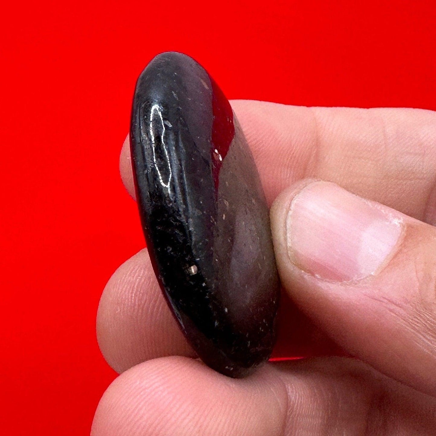 Nuummite Stone, Polished Nuummite, Greenland, Reiki, Rock Collection, Manifesting, Grounding, Energy Work, Reiki Creativity, 18.21 grams