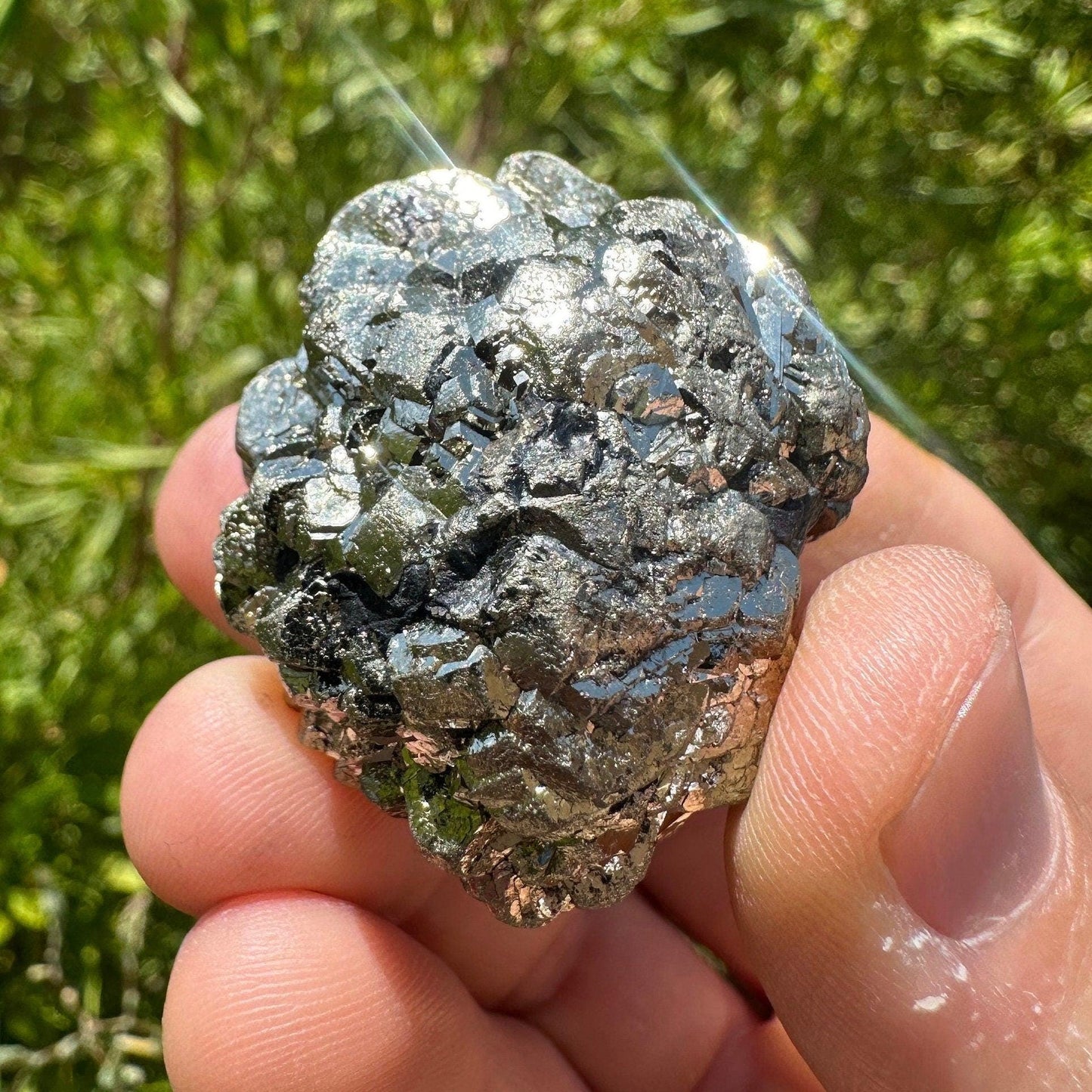 Golden Prophecy Stone, Rare and Unique, Marcasite Nodule, Crystal of Protection, Pyrite, Reiki, Rock Collection, Transformation, 87.00 grams