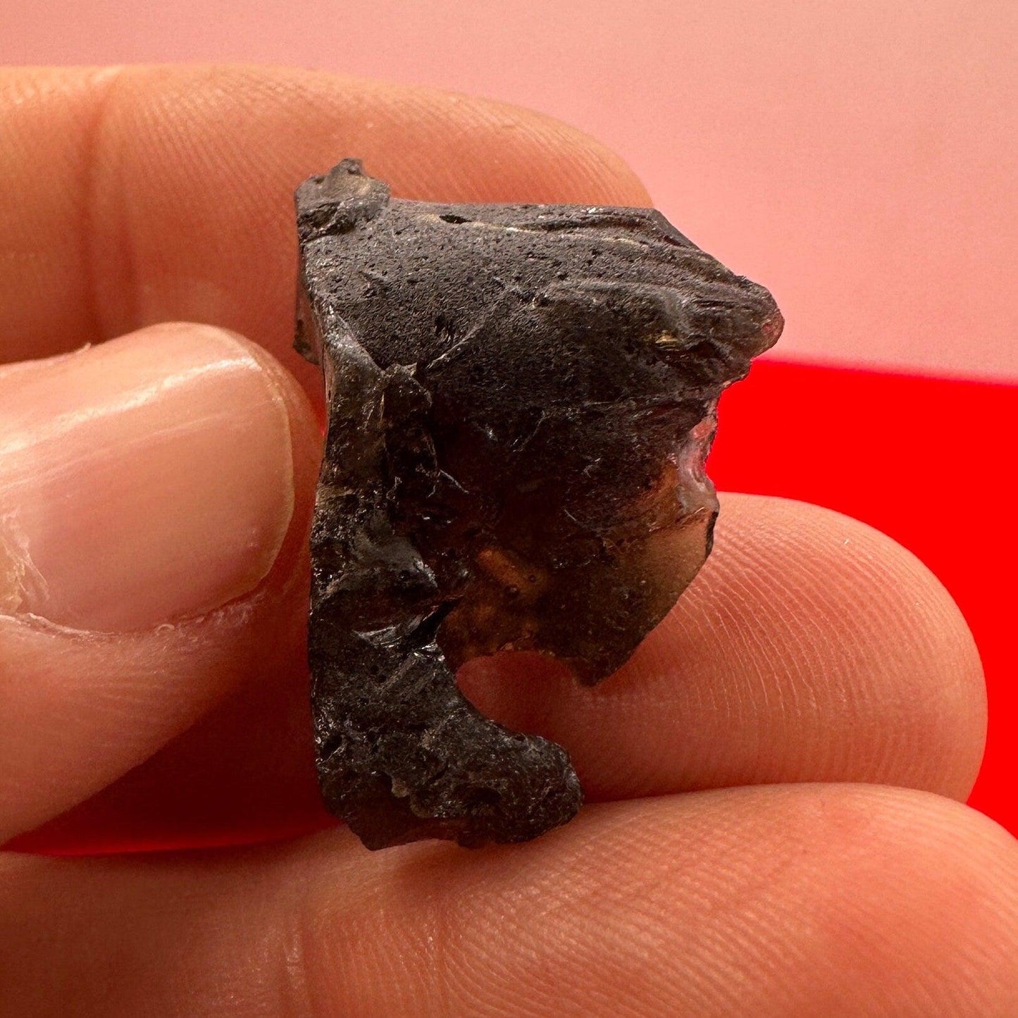 Darwin Glass, Darwinite, Tektite, Grounding, Manifestation Talisman, Tasmania, Astronomy Gift, Tektite Collection, 3.26 grams